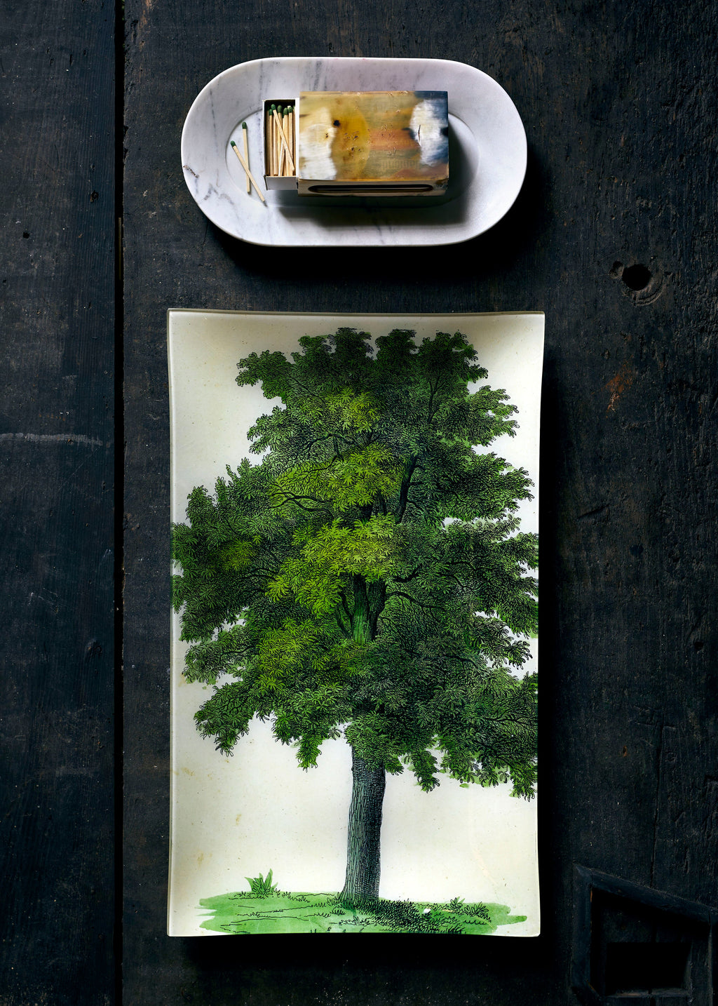 Jayson Home - Oak Tree Tray