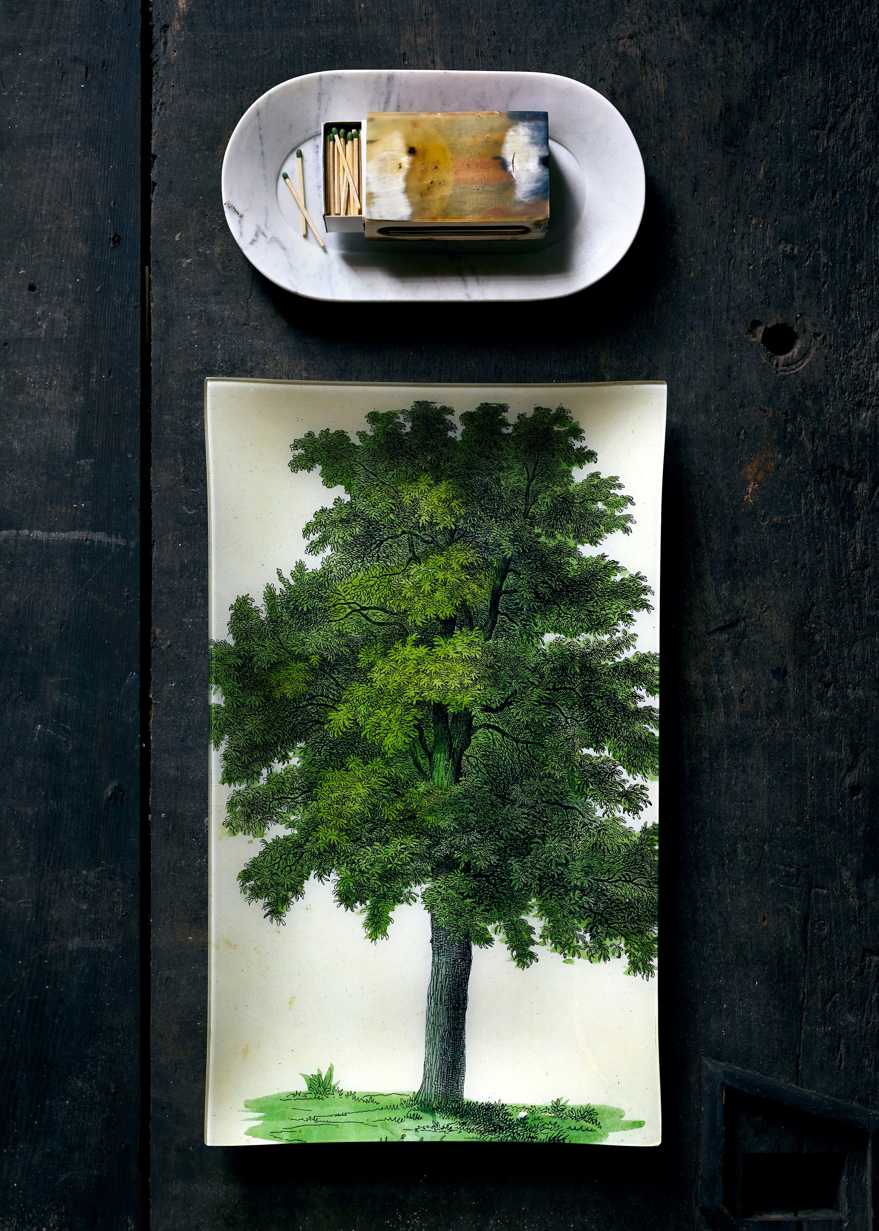 Jayson Home - Oak Tree Tray