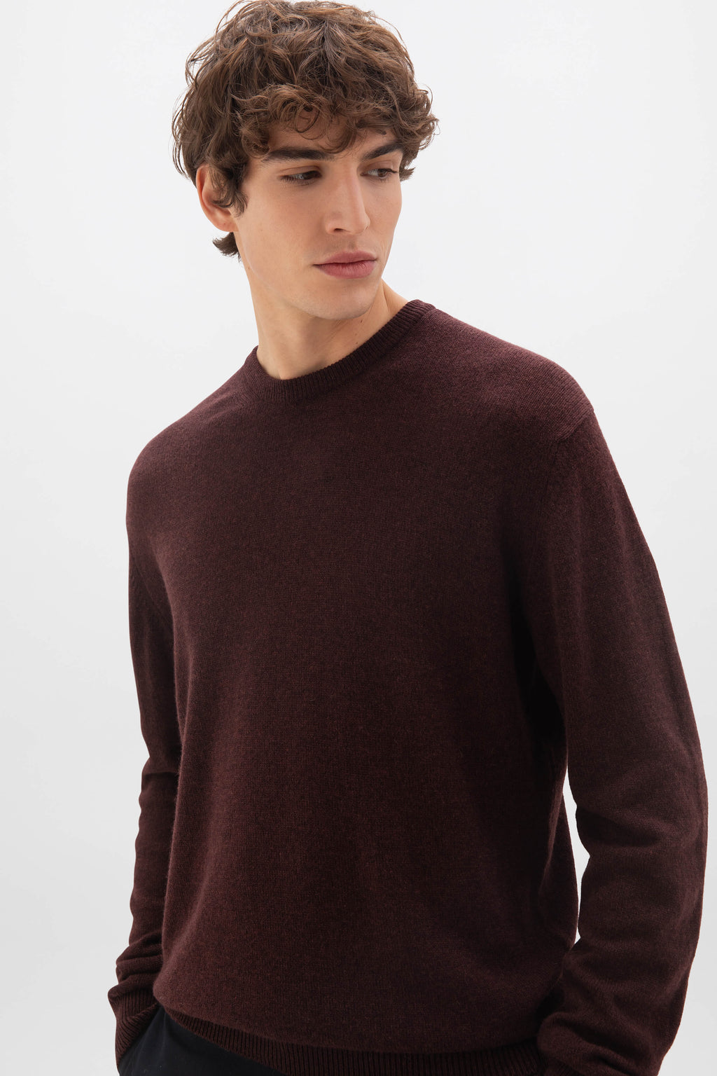 Johnstons of Elgin - Classic Cashmere Dark Brown Round Neck Jumper