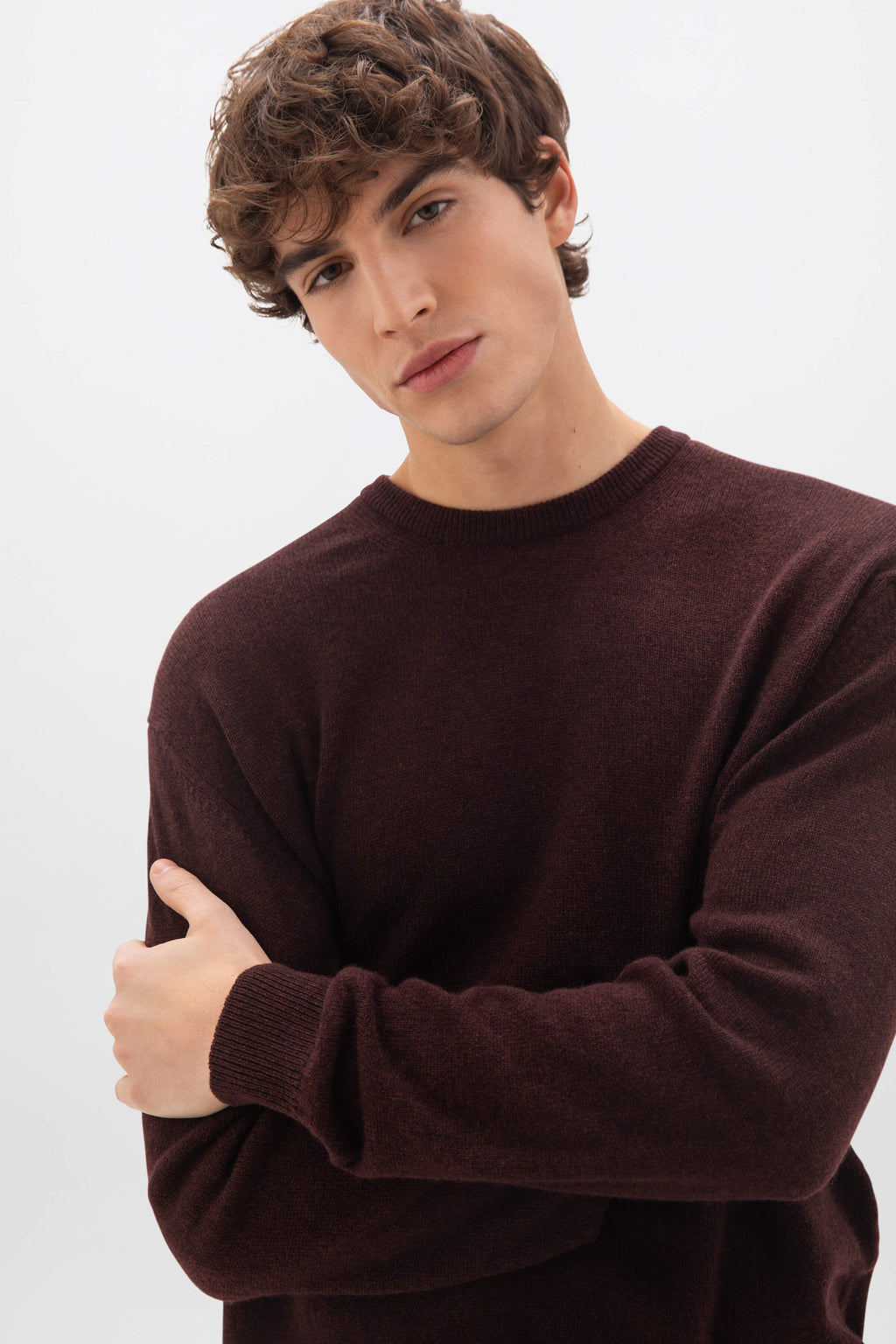 Johnstons of Elgin - Classic Cashmere Dark Brown Round Neck Jumper