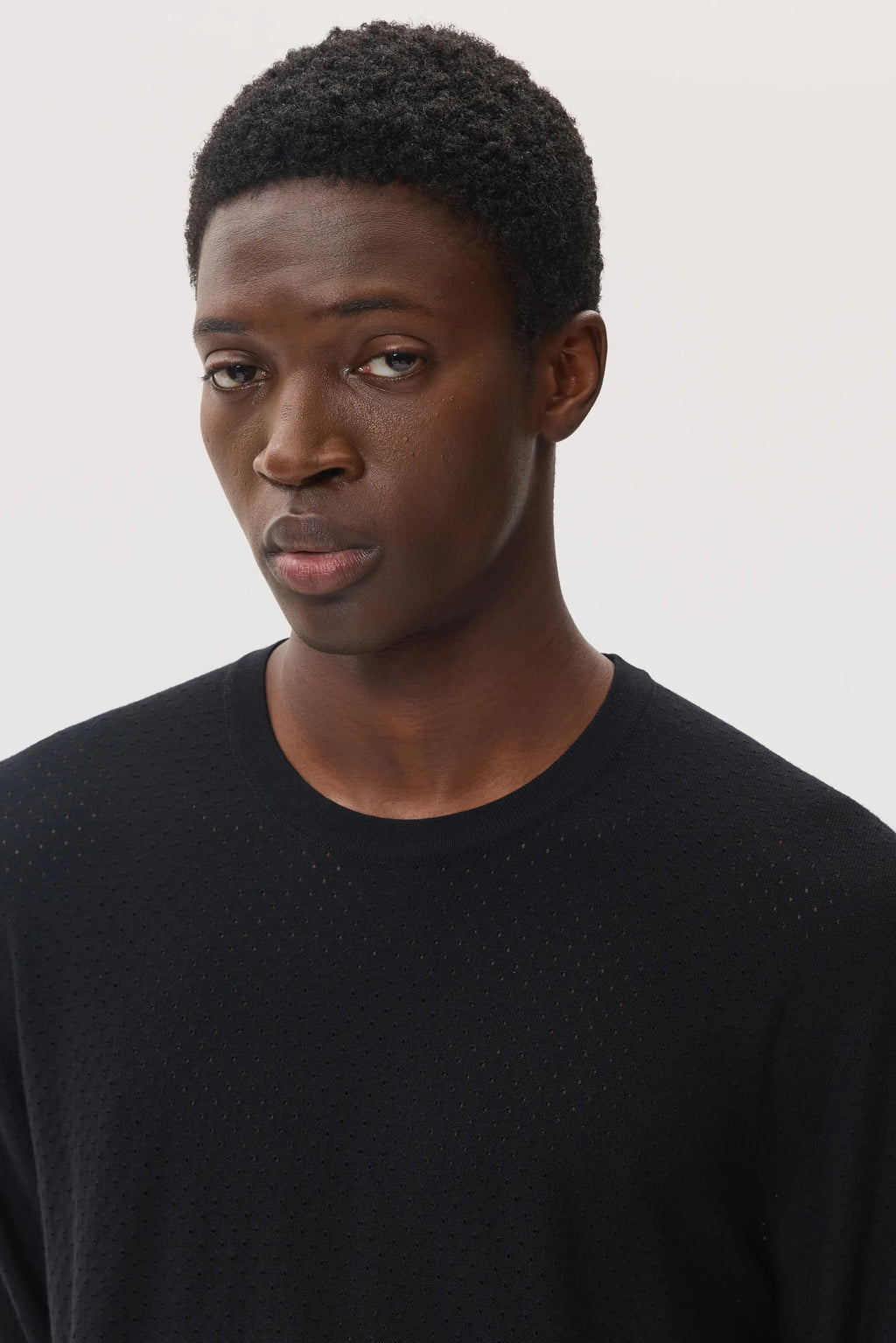 Johnstons of Elgin - Superfine Merino Mesh Black Crew Neck