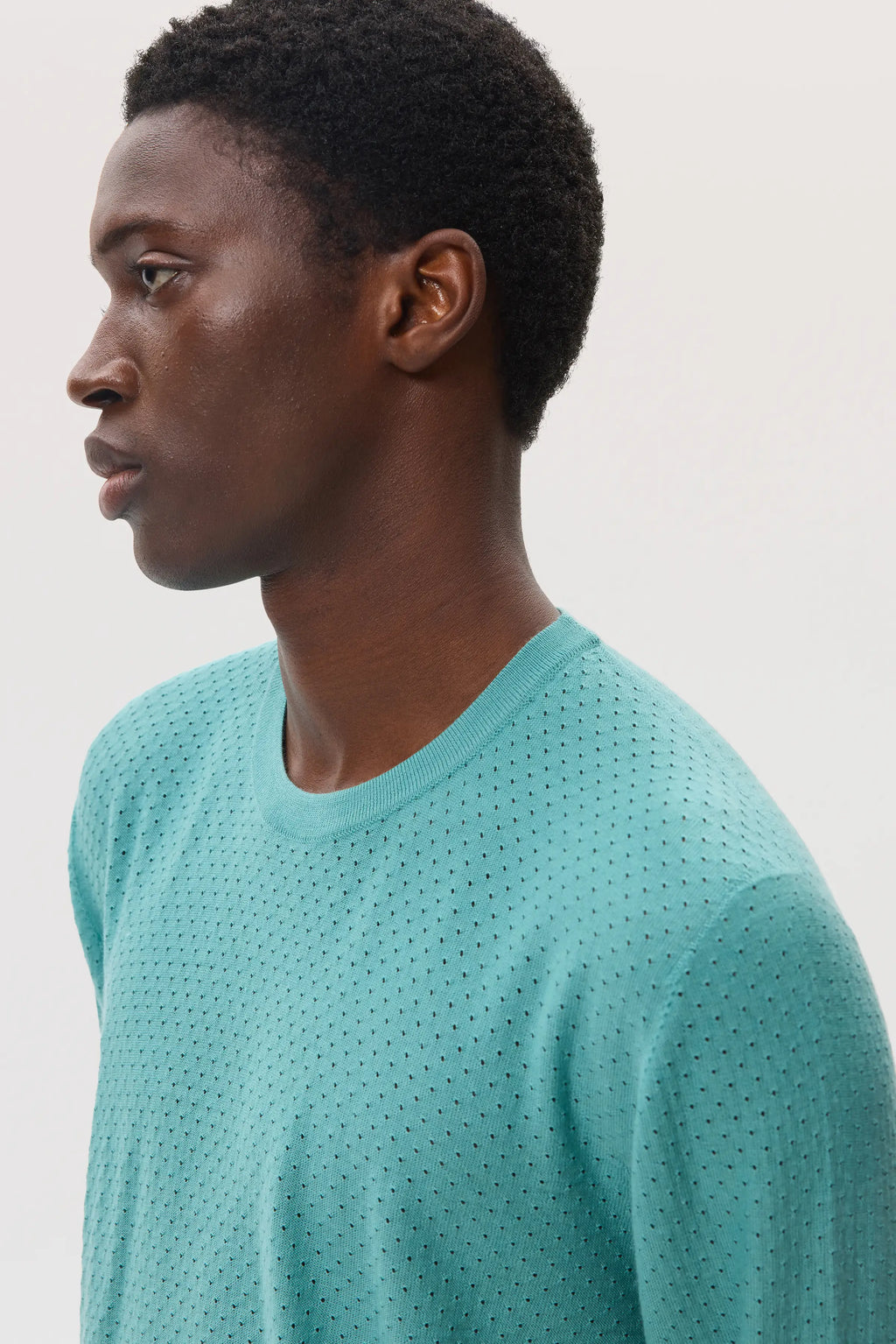 Johnstons of Elgin - Superfine Merino Mesh Green Crew Neck Jumper