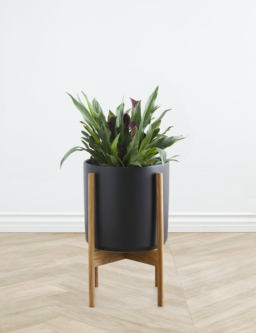 Lulu and Georgia - Ceramic Planter Pot + Teak Stand by LBE Design