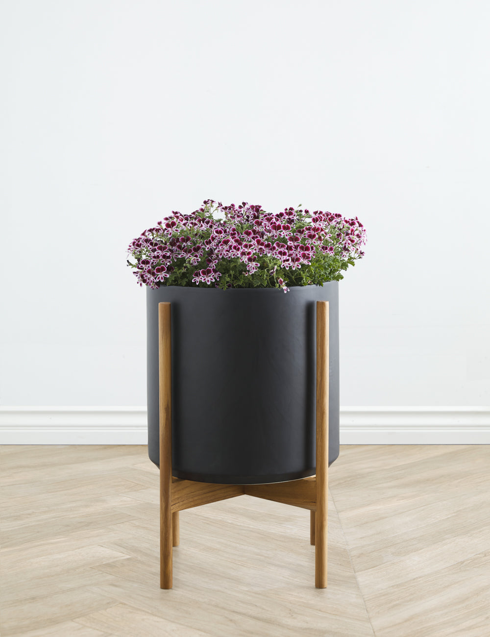 Lulu and Georgia - Ceramic Planter Pot + Teak Stand by LBE Design