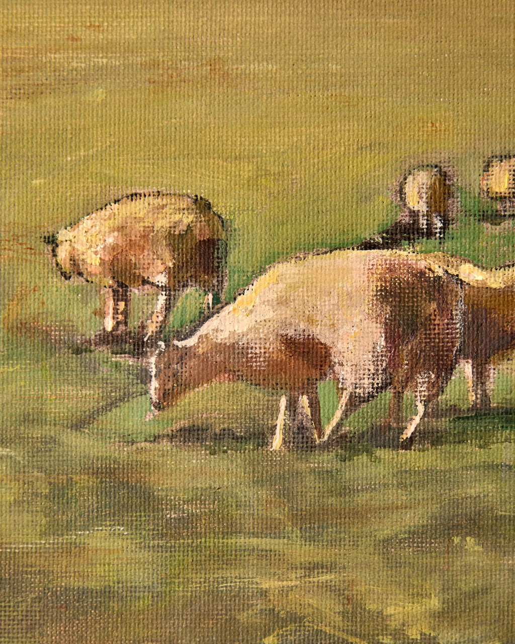 Lostine - "Sheep Family"