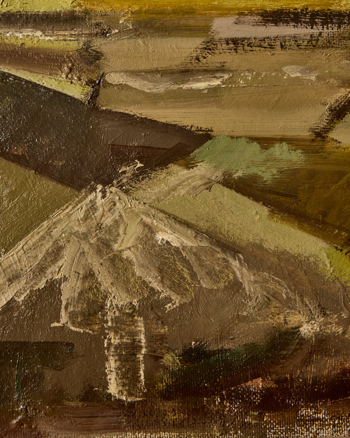 Lostine - Field Landscape