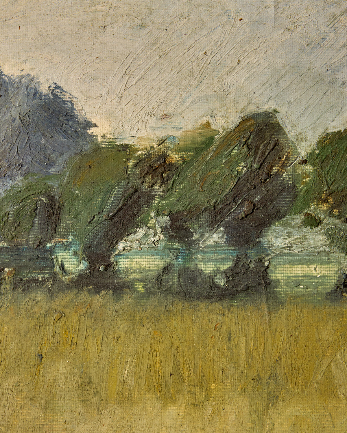 Lostine - Amstelveen Forest Landscape