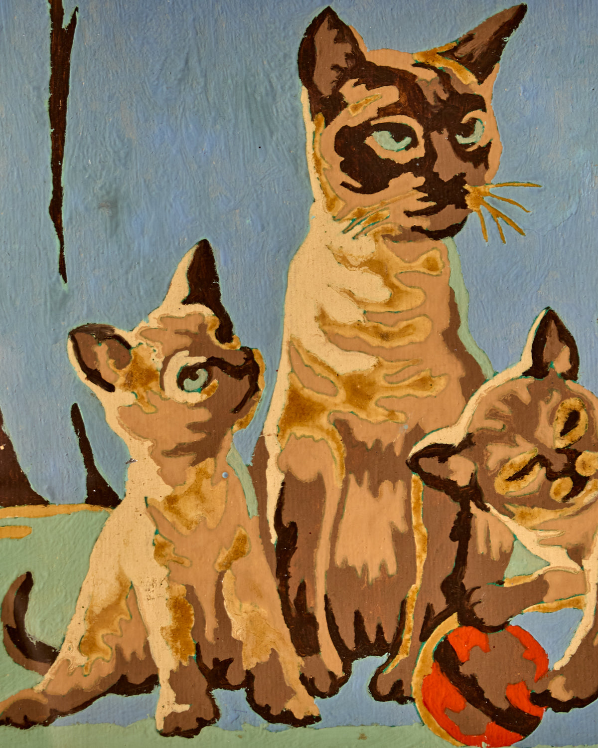 Lostine - Siamese Kittens with Ball