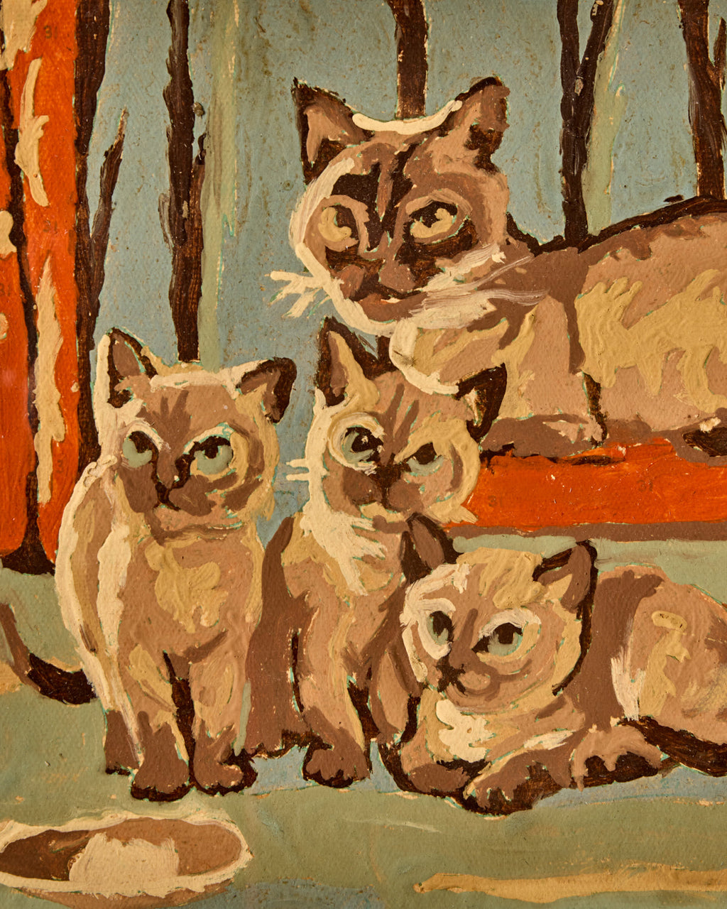 Lostine - Siamese Kittens