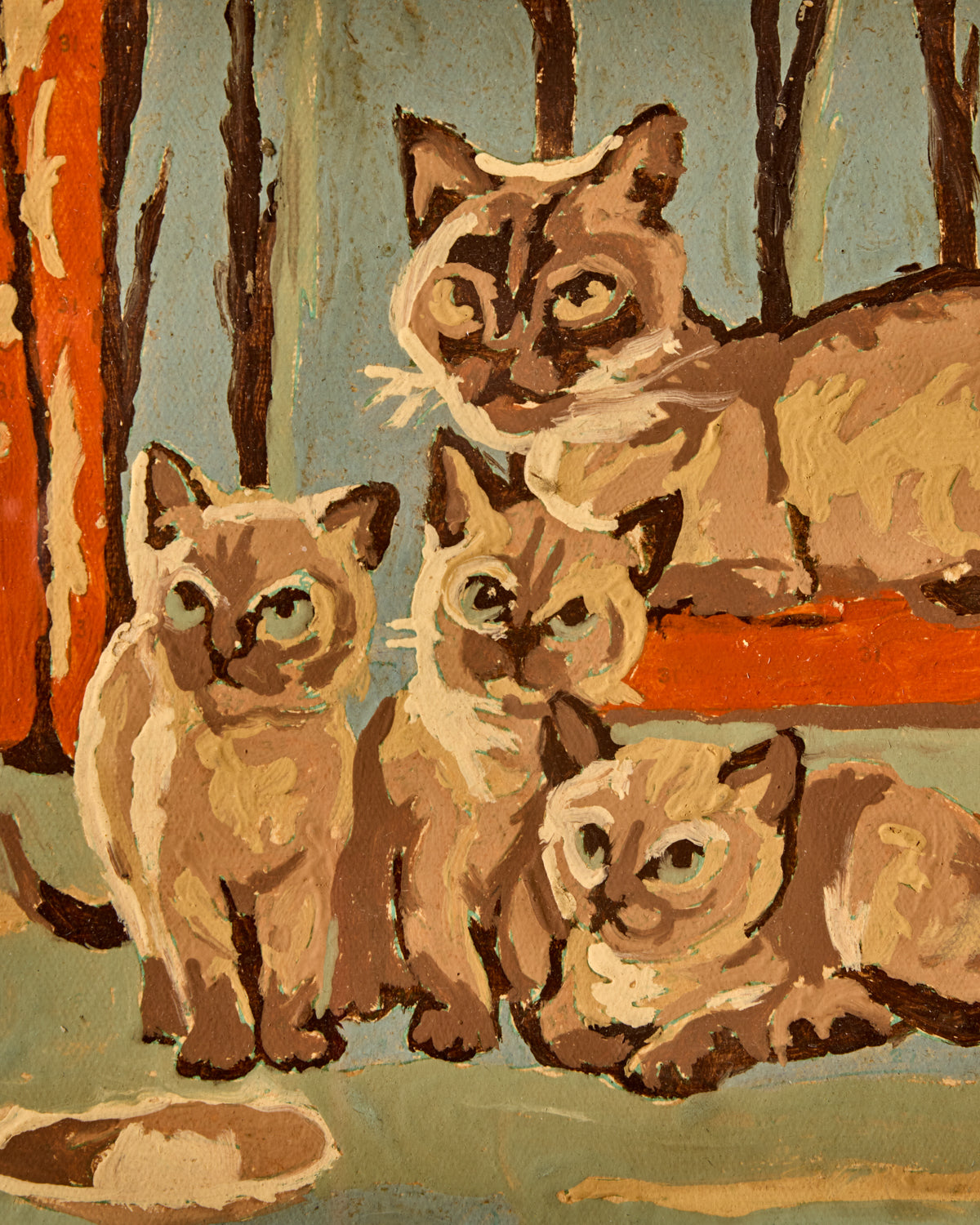 Lostine - Siamese Kittens