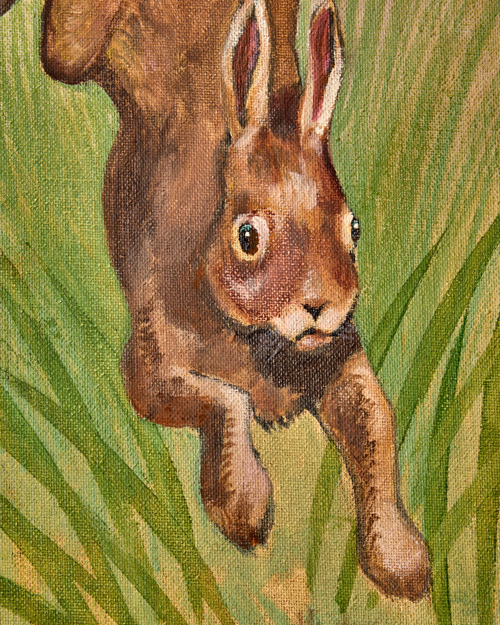 Lostine - "Leaping Rabbit"