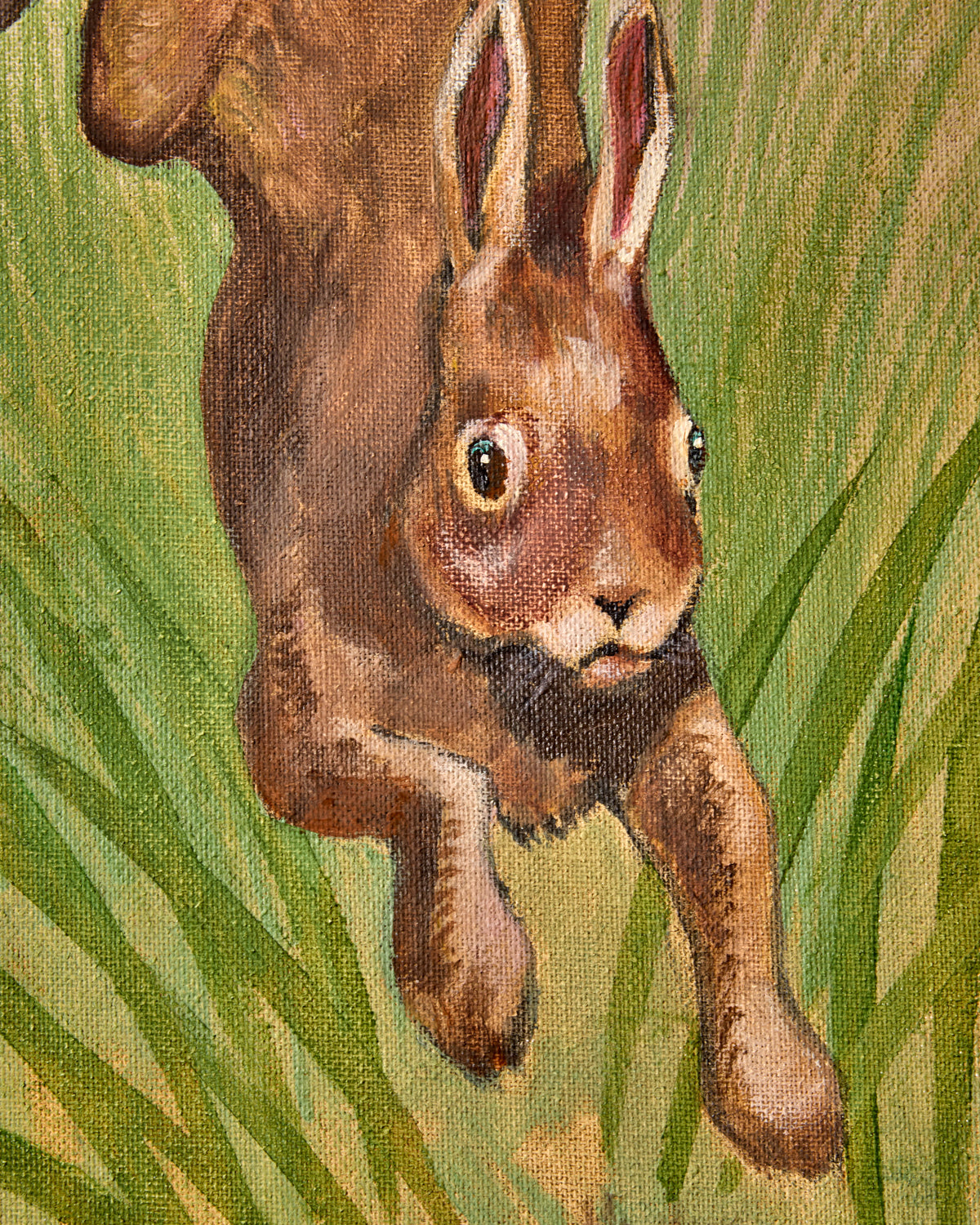 Lostine - "Leaping Rabbit"