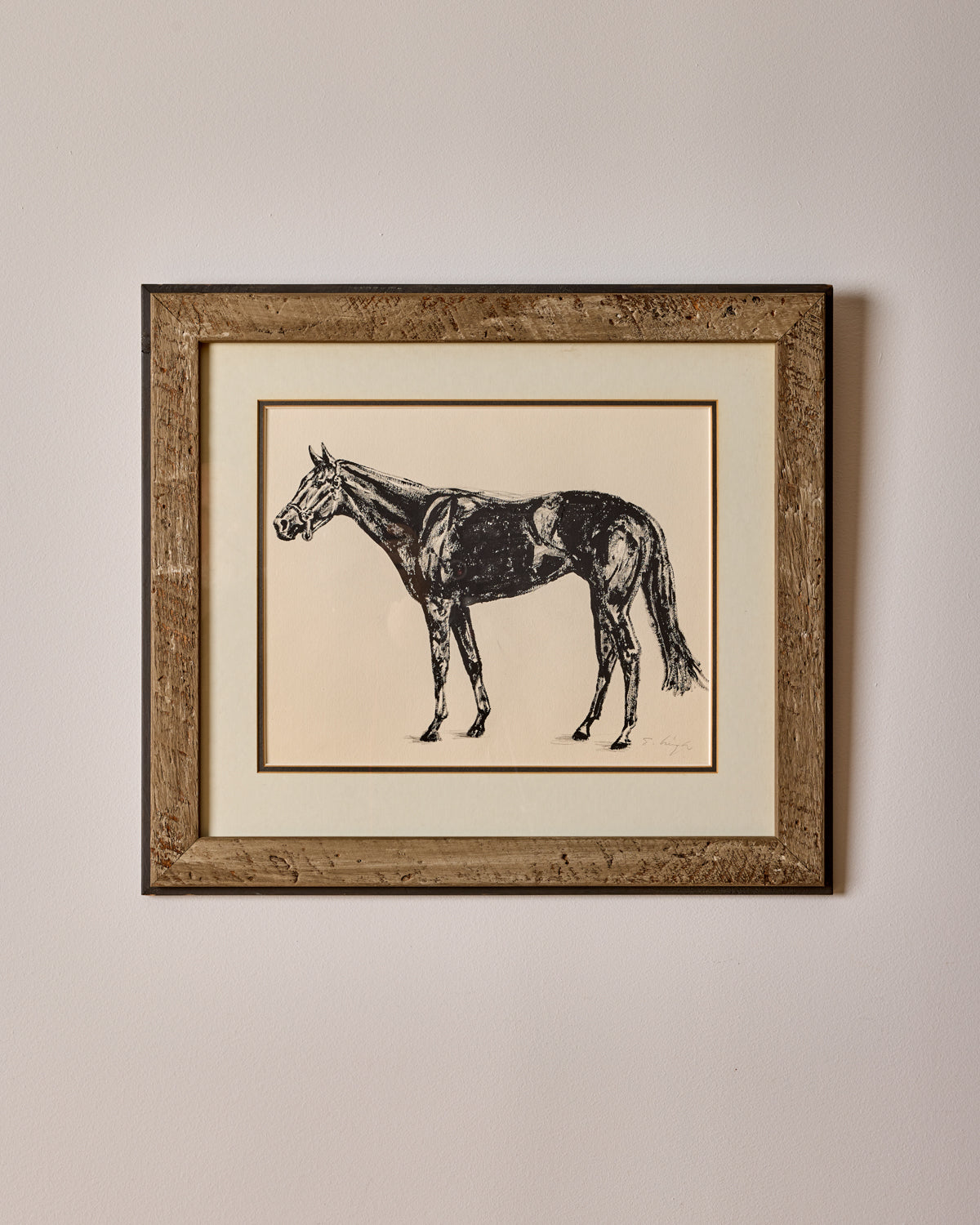Lostine - "Black Beauty"