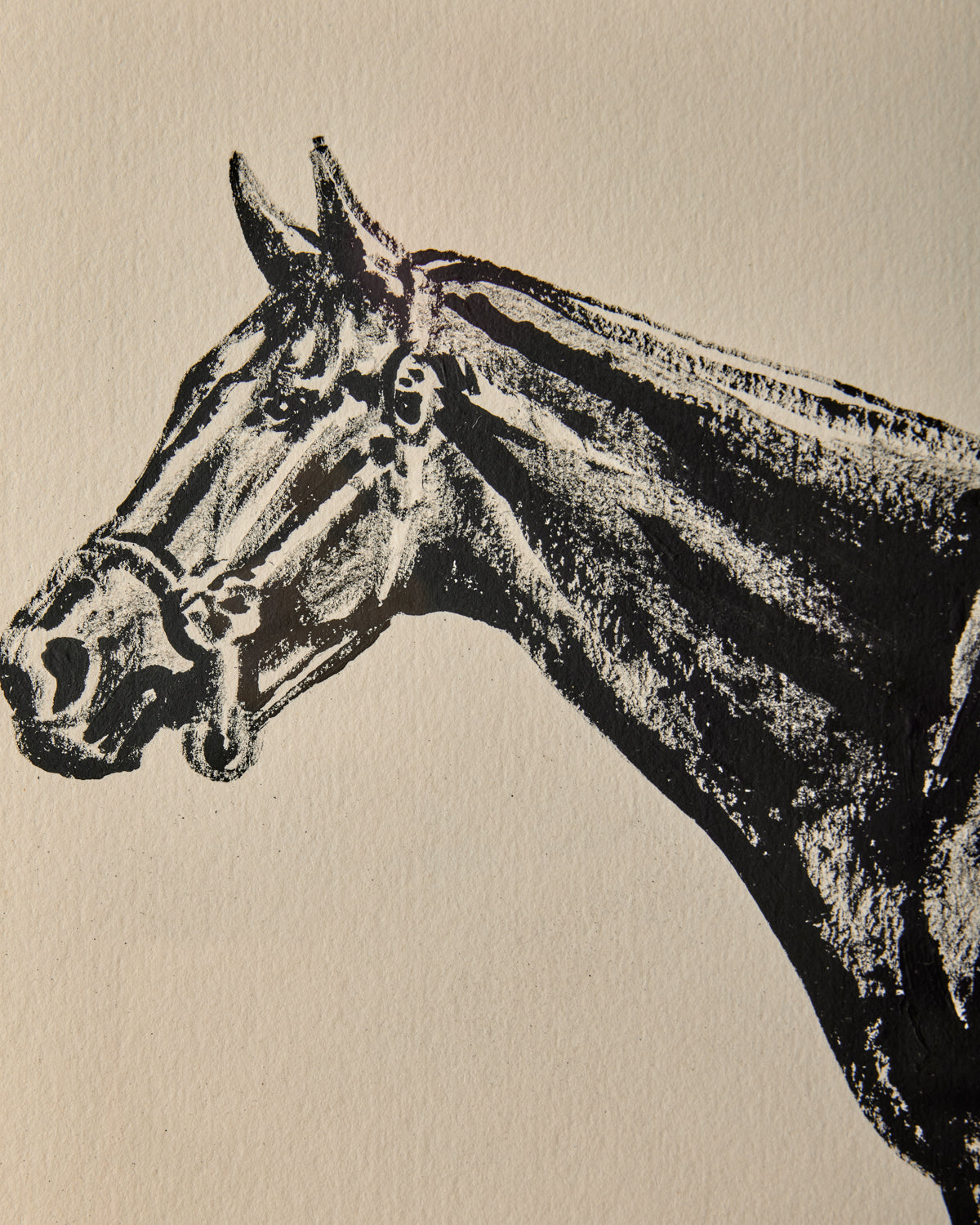Lostine - "Black Beauty"