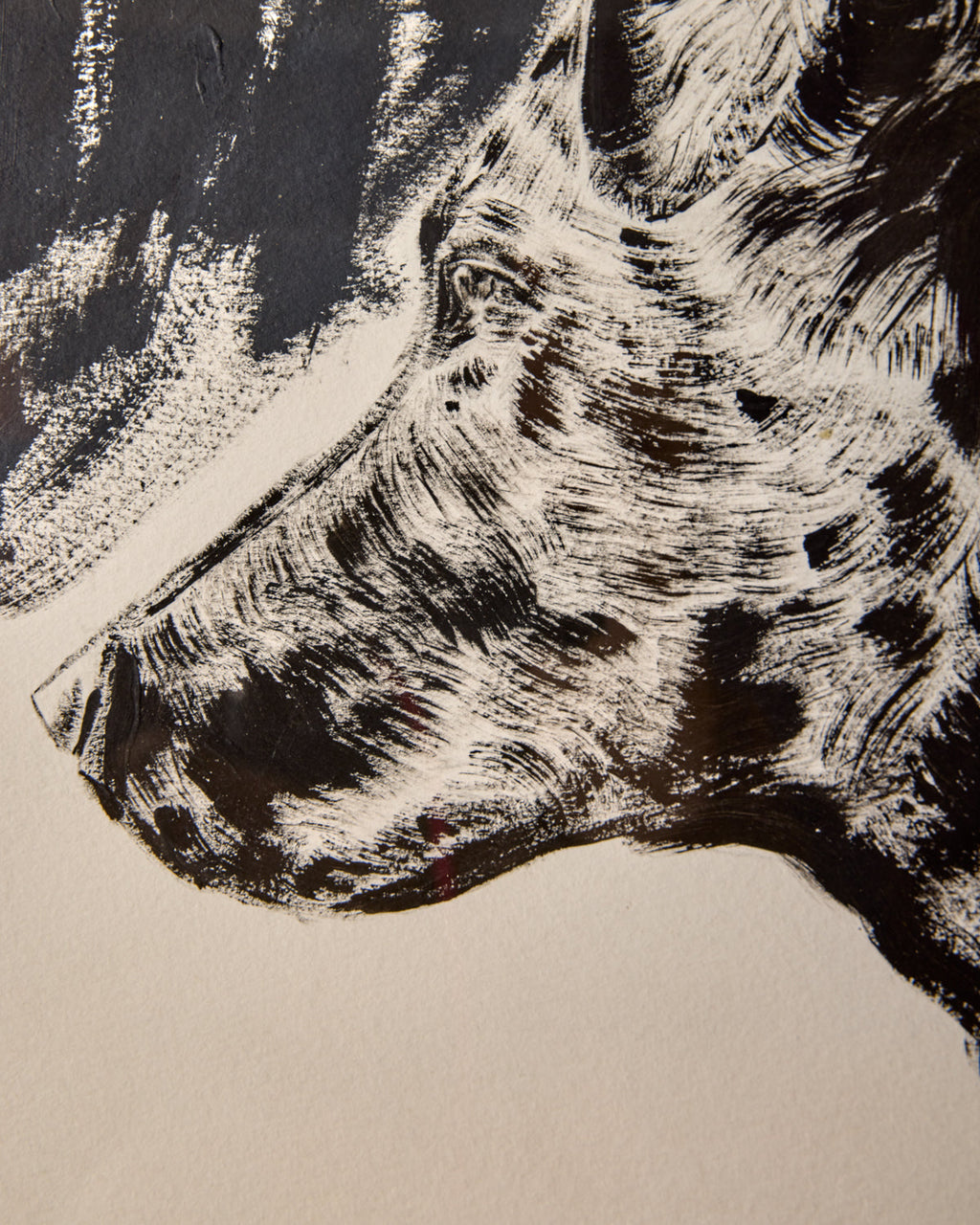 Lostine - Dog 1