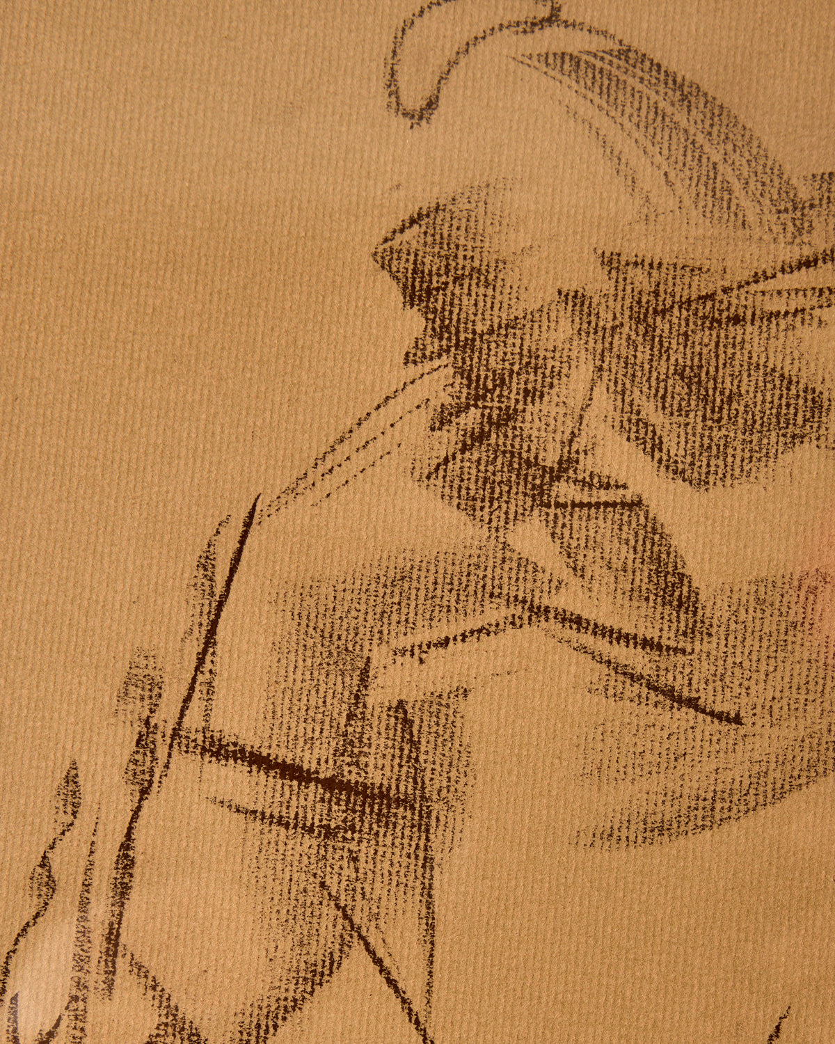 Lostine - Female Figure Study in Charcoal