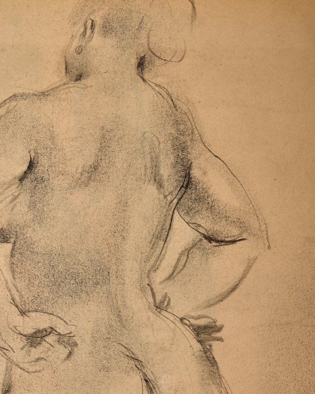 Lostine - Figure Study in Charcoal II