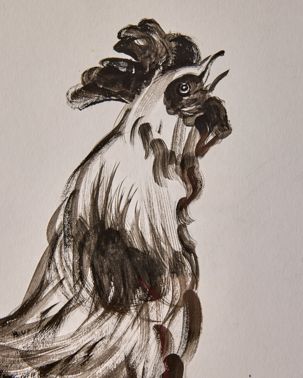 Lostine - Rooster