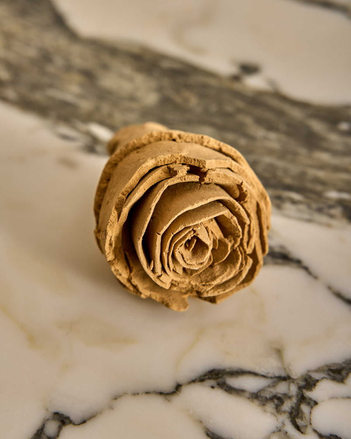 Lostine - Ceramic Rose Sculptures