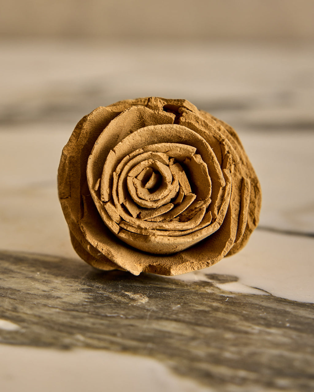 Lostine - Ceramic Rose Sculptures