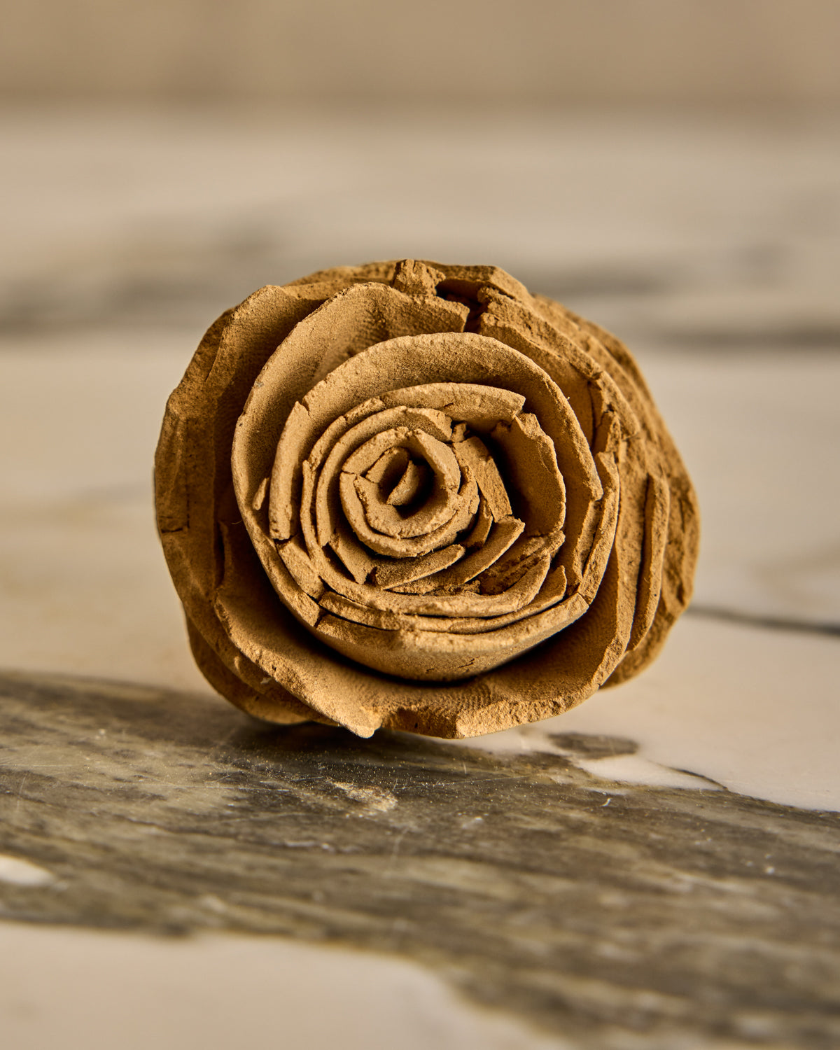 Lostine - Ceramic Rose Sculptures