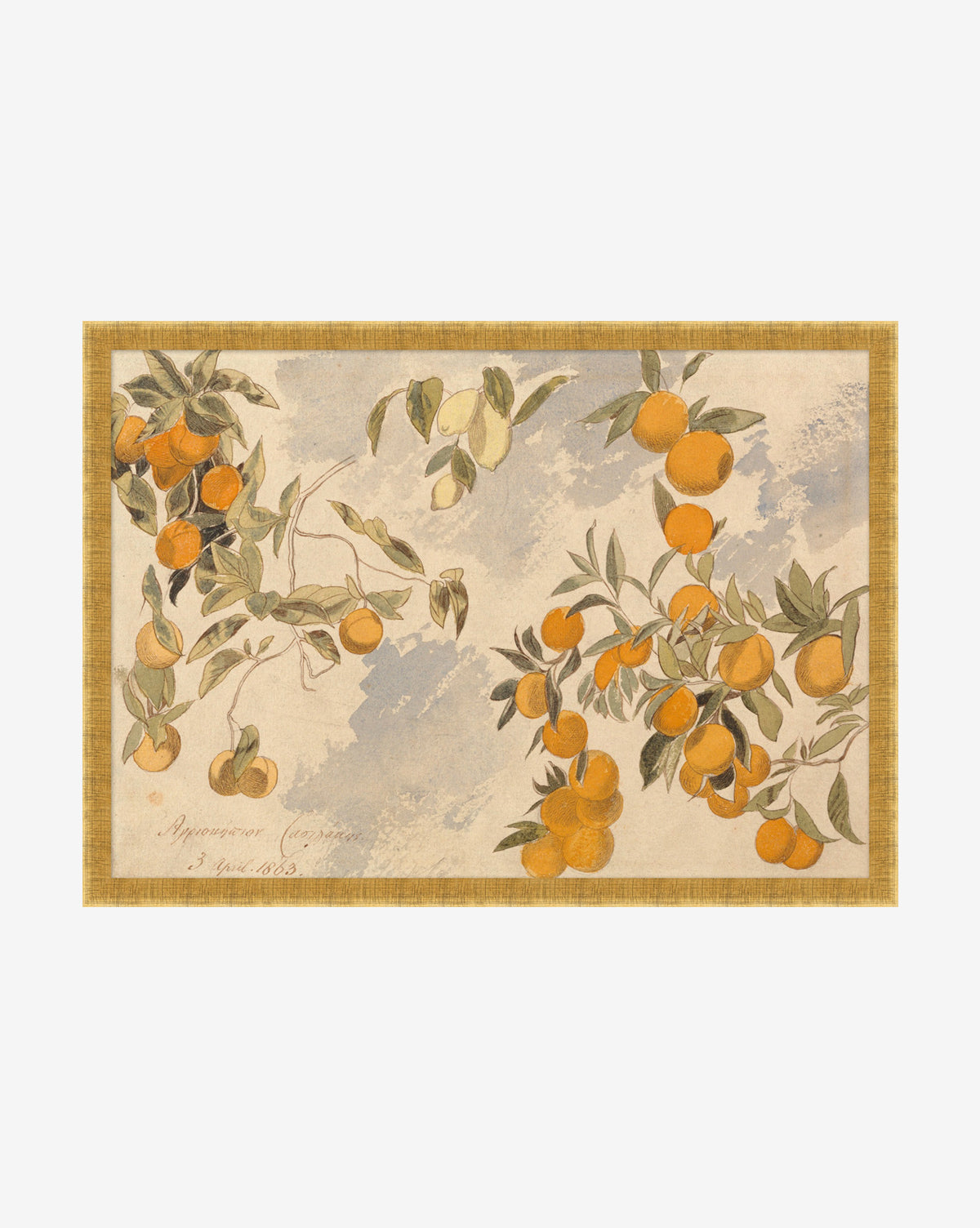 McGee & Co - Lemons & Oranges