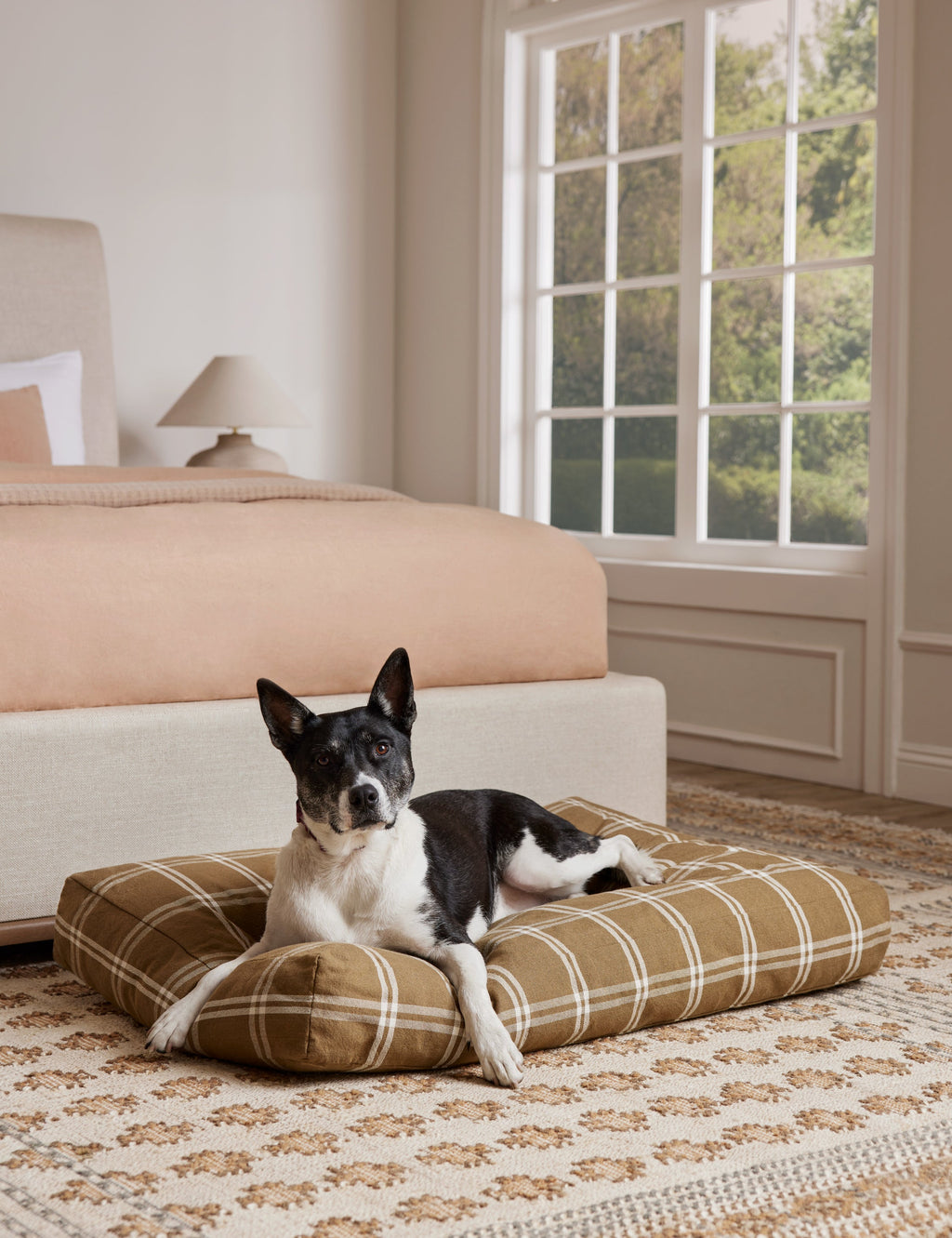 Lulu and Georgia - Rollo Dog Bed