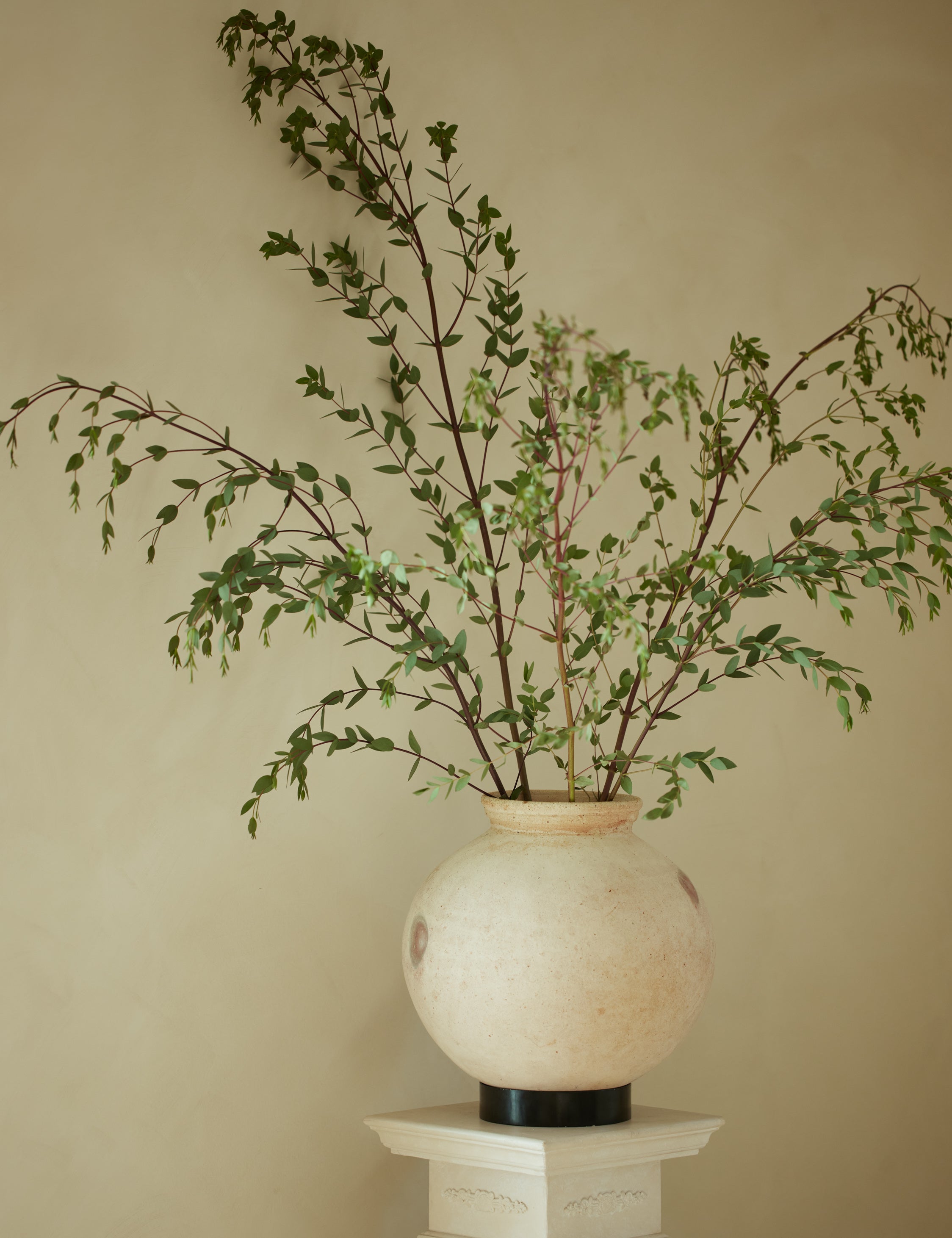 Lulu and Georgia - Forba Pot