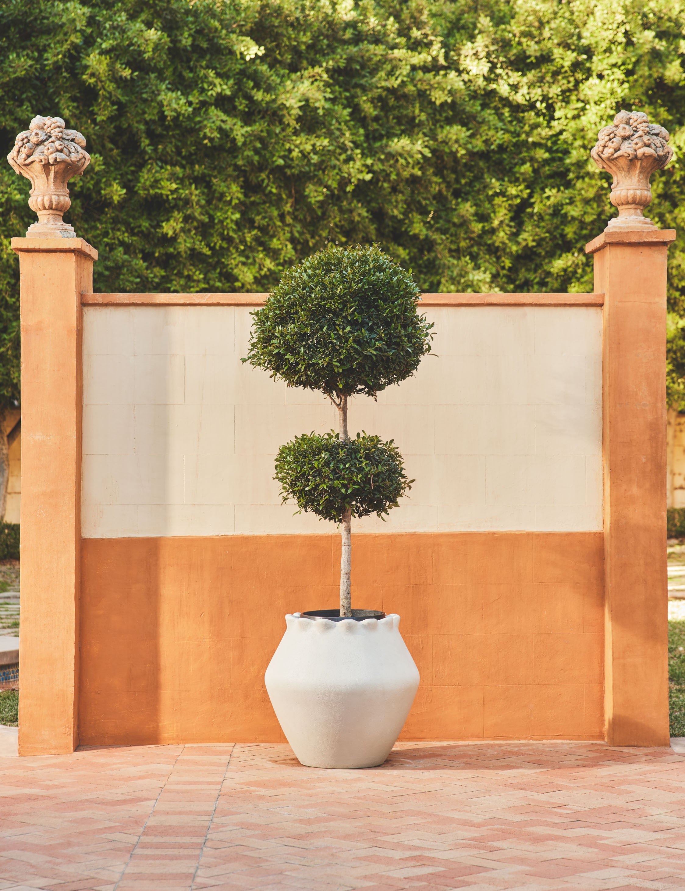 Lulu and Georgia - Jaziel Indoor/Outdoor Planter