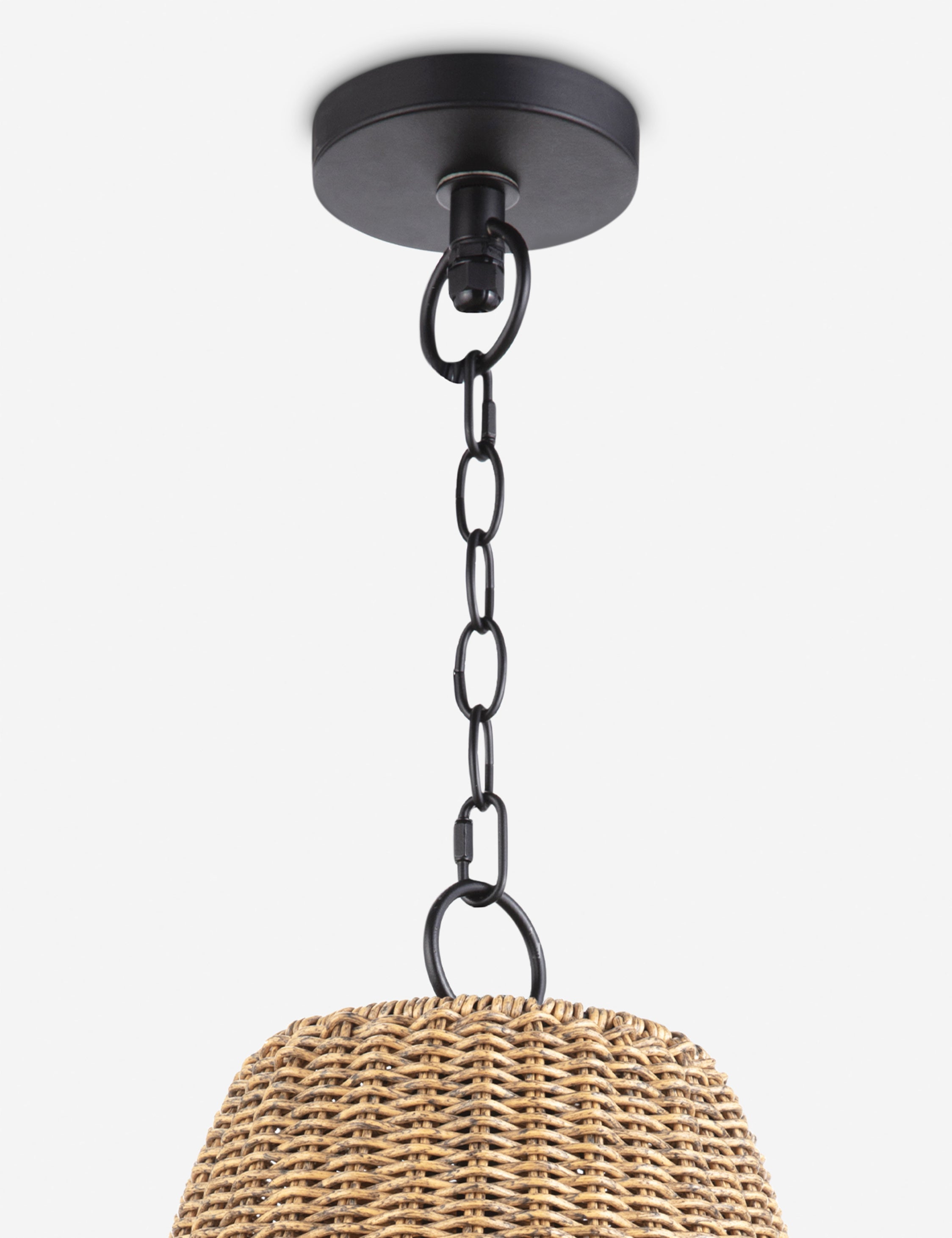 Lulu and Georgia - Summer Outdoor Pendant Light by Regina Andrew