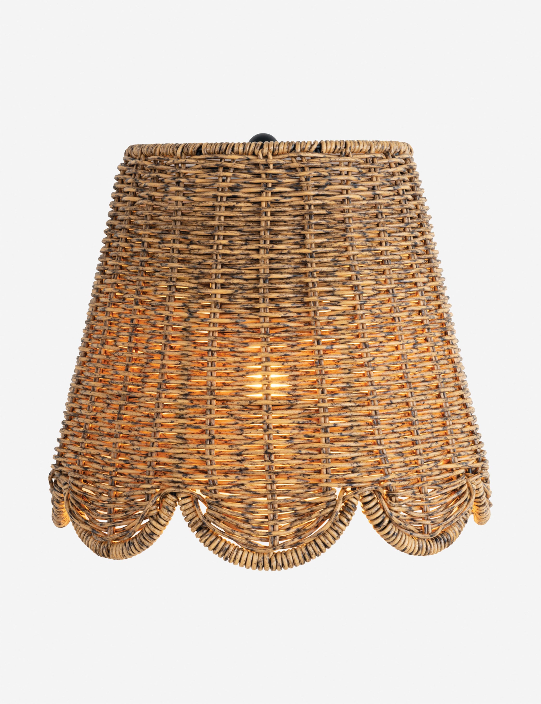 Lulu and Georgia - Summer Outdoor Sconce by Regina Andrew