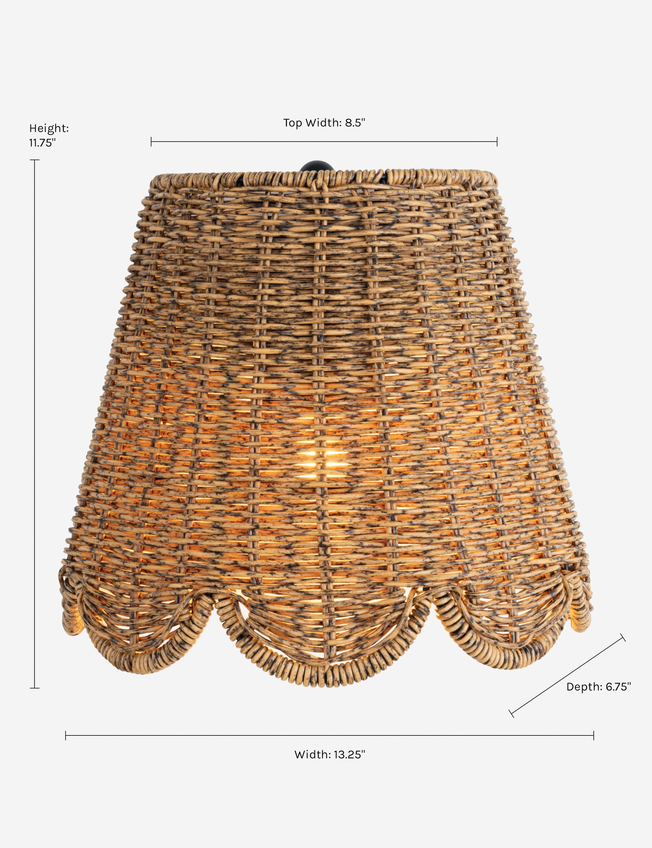 Lulu and Georgia - Summer Outdoor Sconce by Regina Andrew