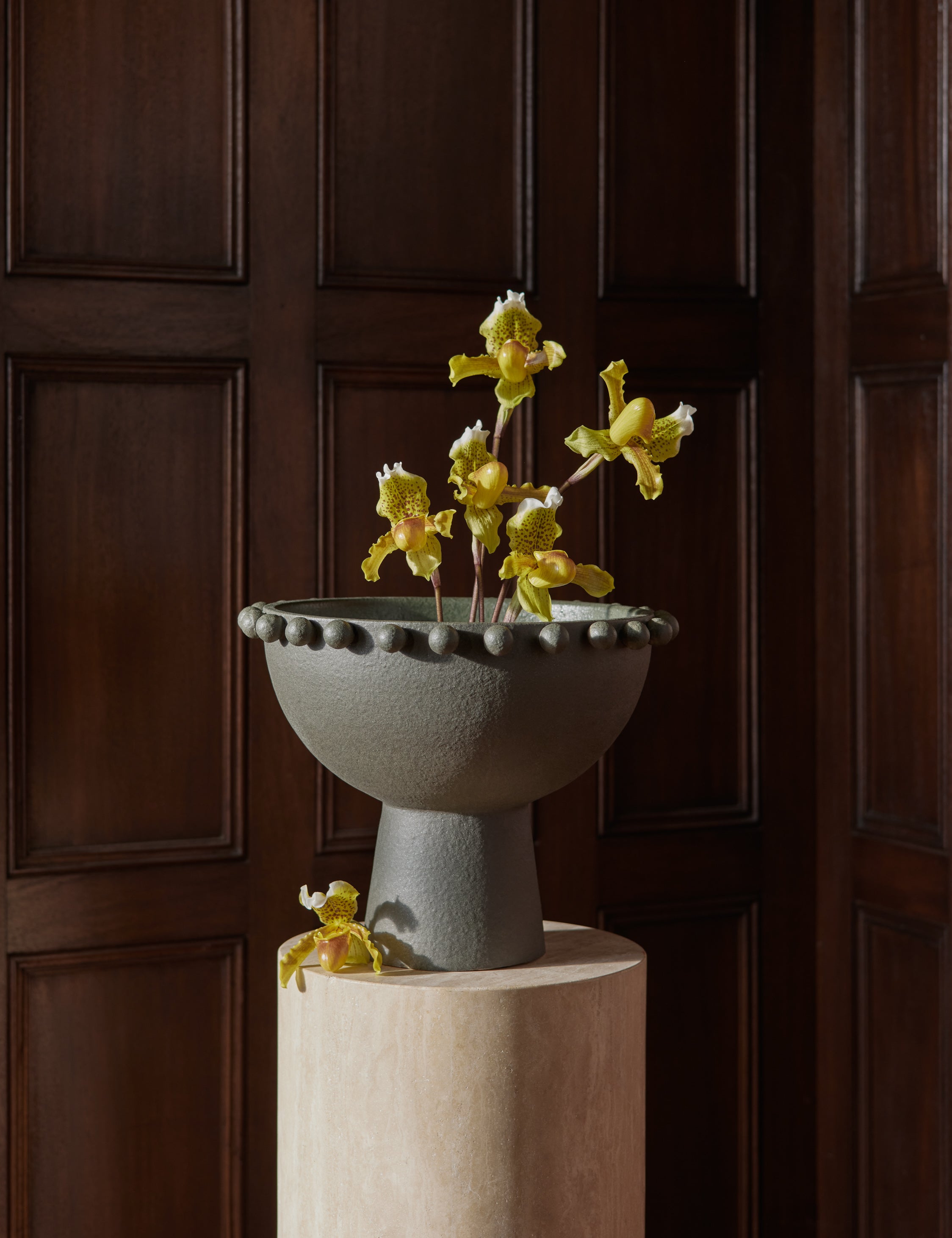Lulu and Georgia - Fayette Bowl by Aimee Song