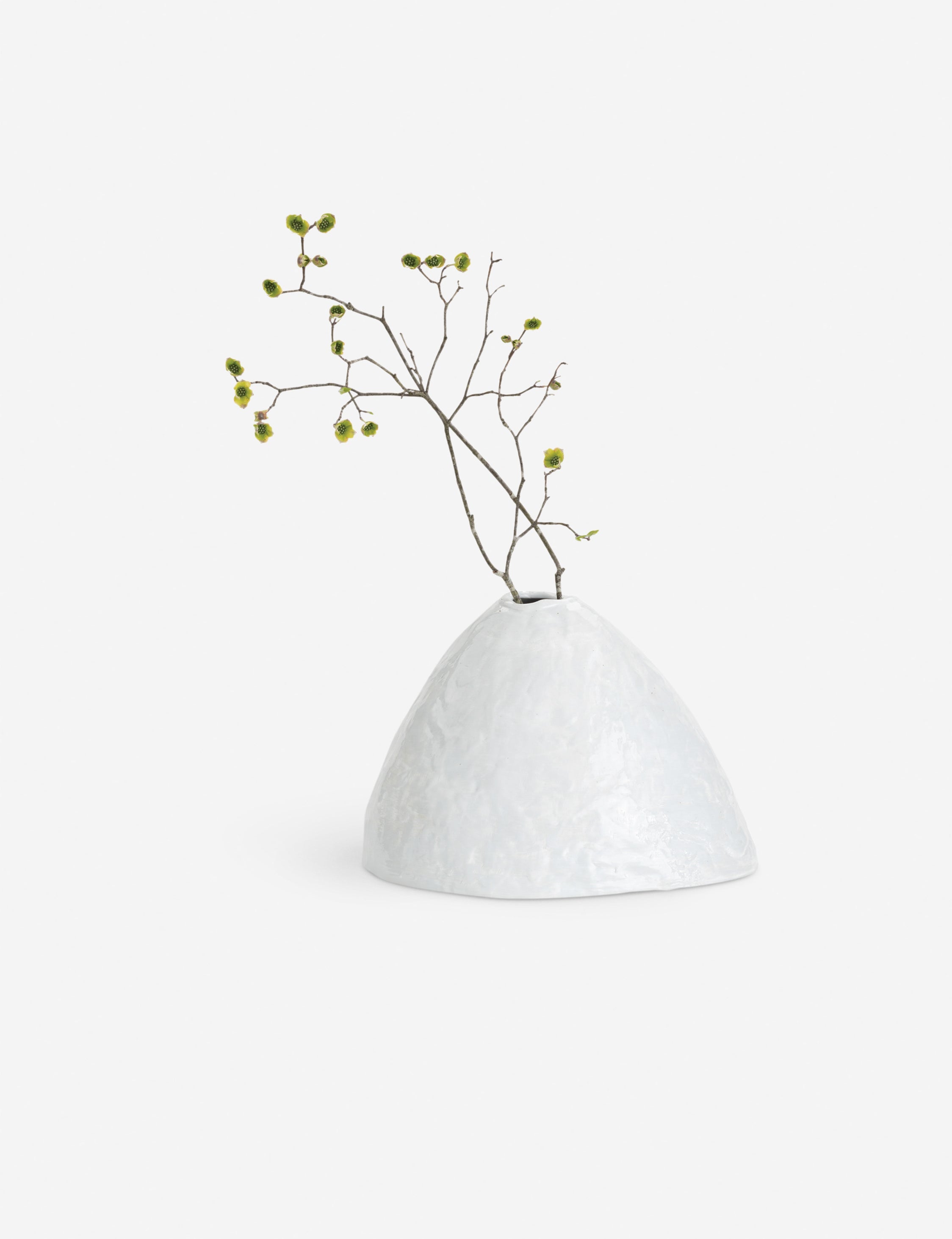 Lulu and Georgia - Atlas Decorative Vase by Regina Andrew