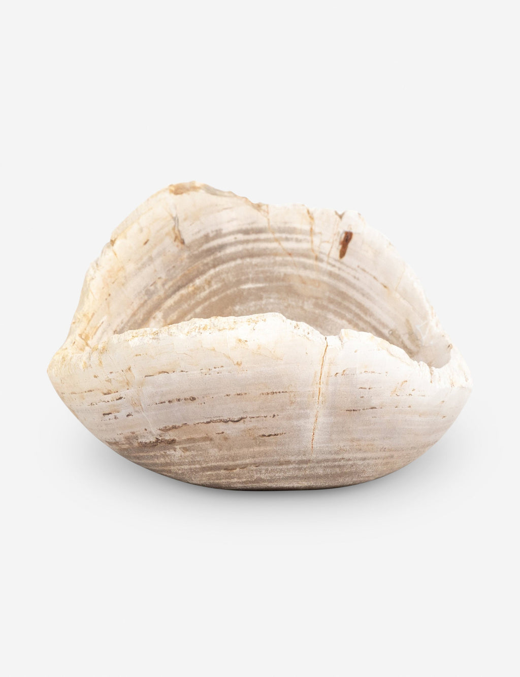 Lulu and Georgia - Noki Petrified Wood Bowl