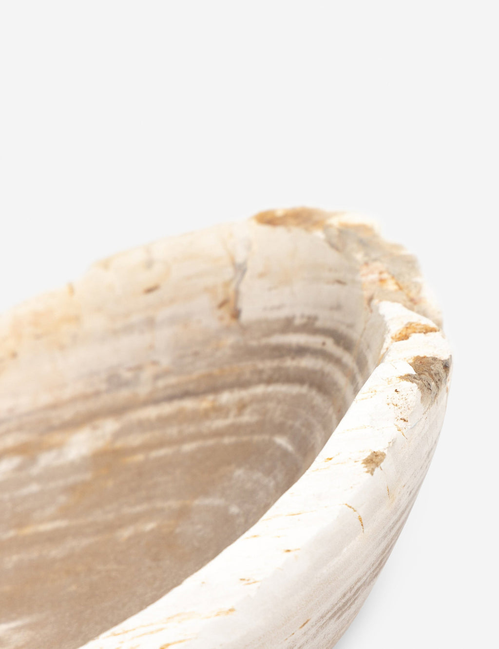 Lulu and Georgia - Noki Petrified Wood Bowl