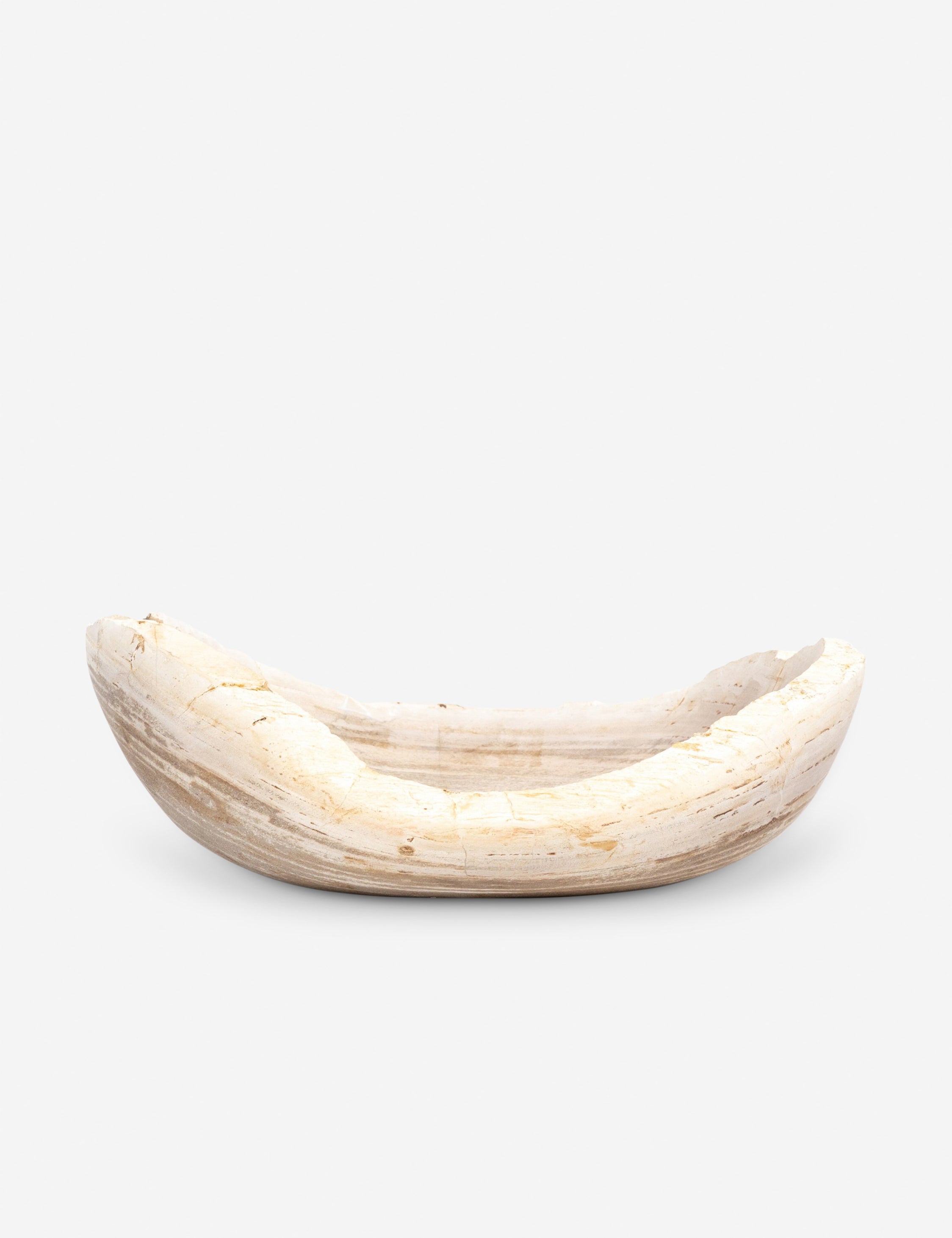 Lulu and Georgia - Noki Petrified Wood Bowl