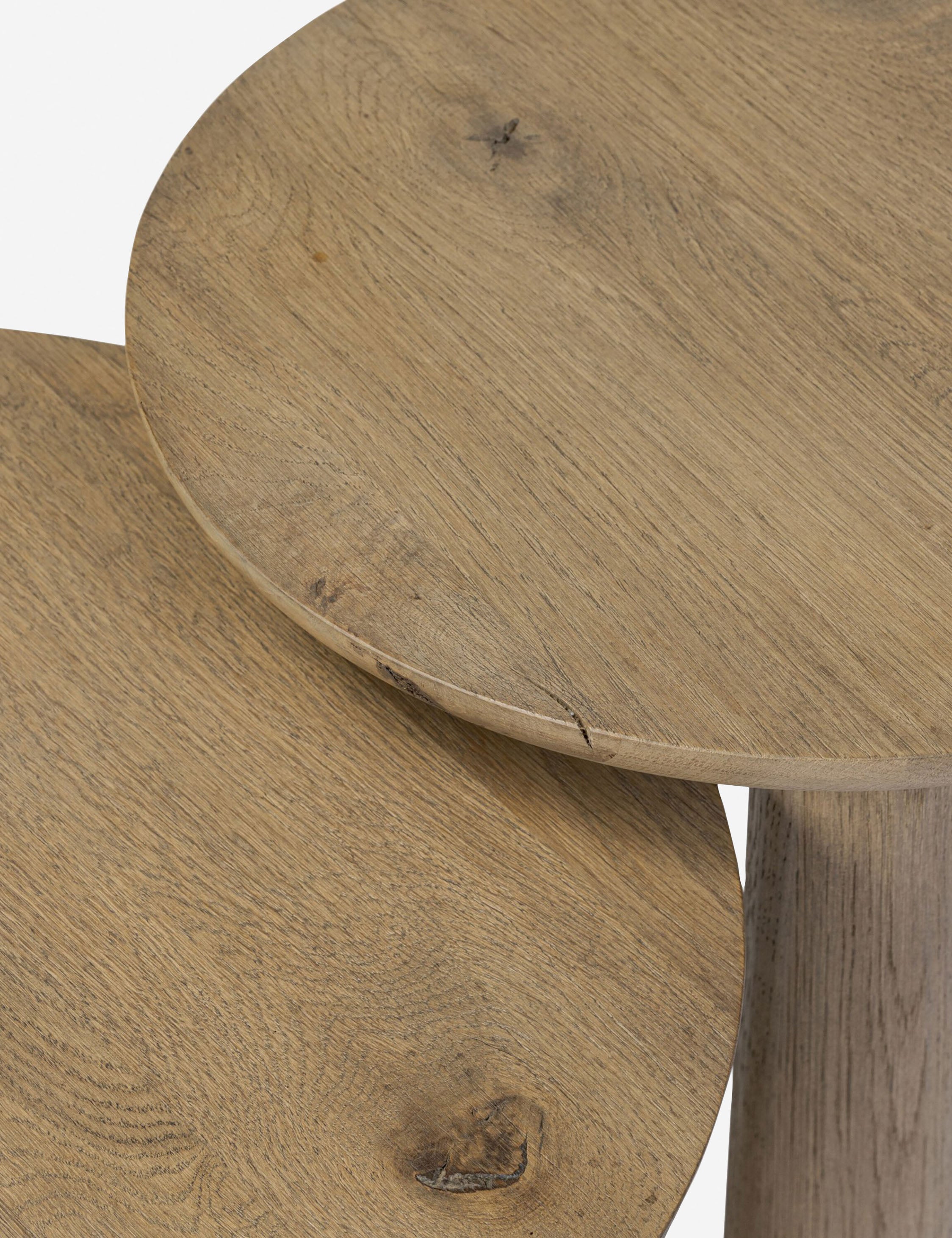 Lulu and Georgia - Venturi Nesting Side Tables (Set of 2)