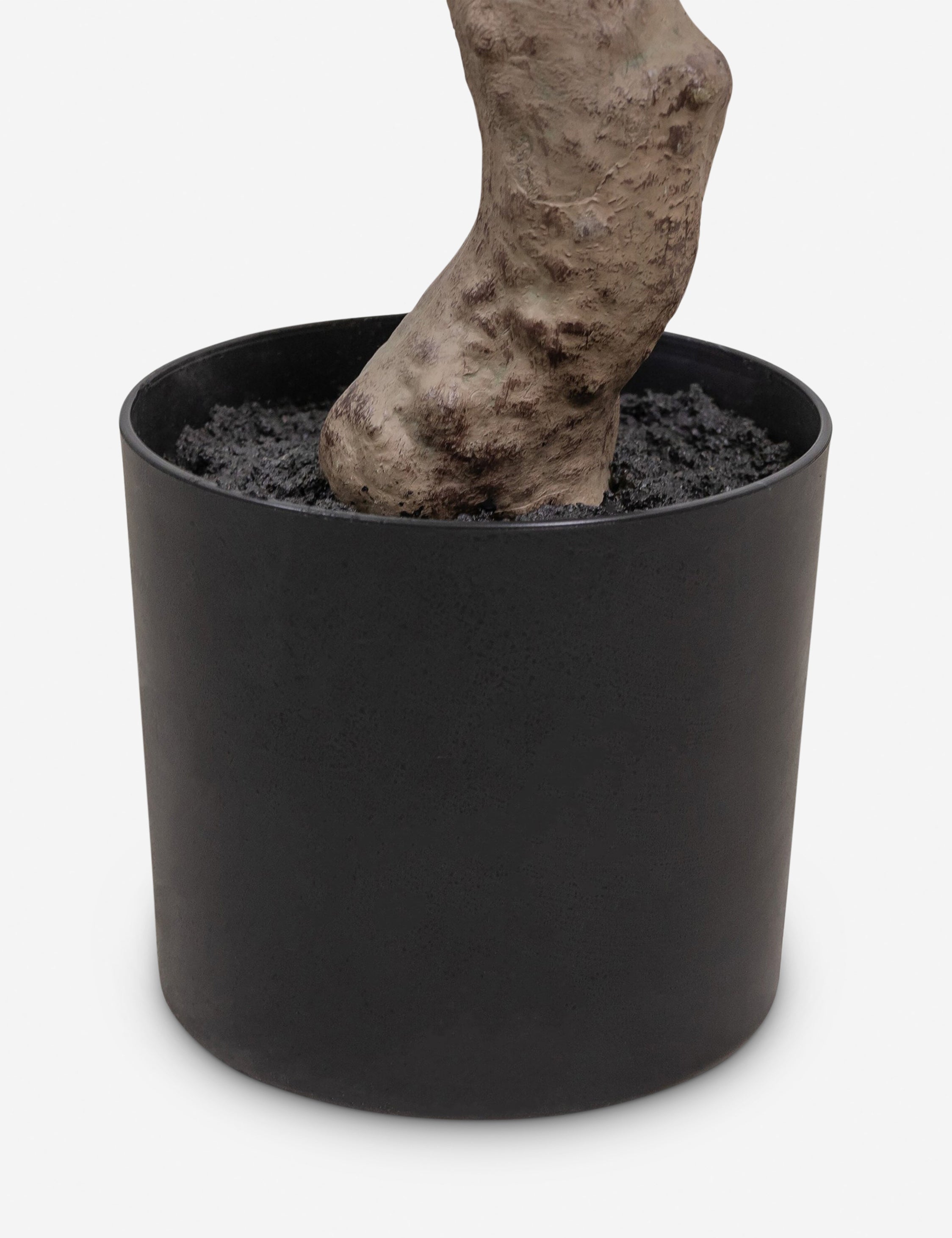 Lulu and Georgia - Faux Aralia Tree