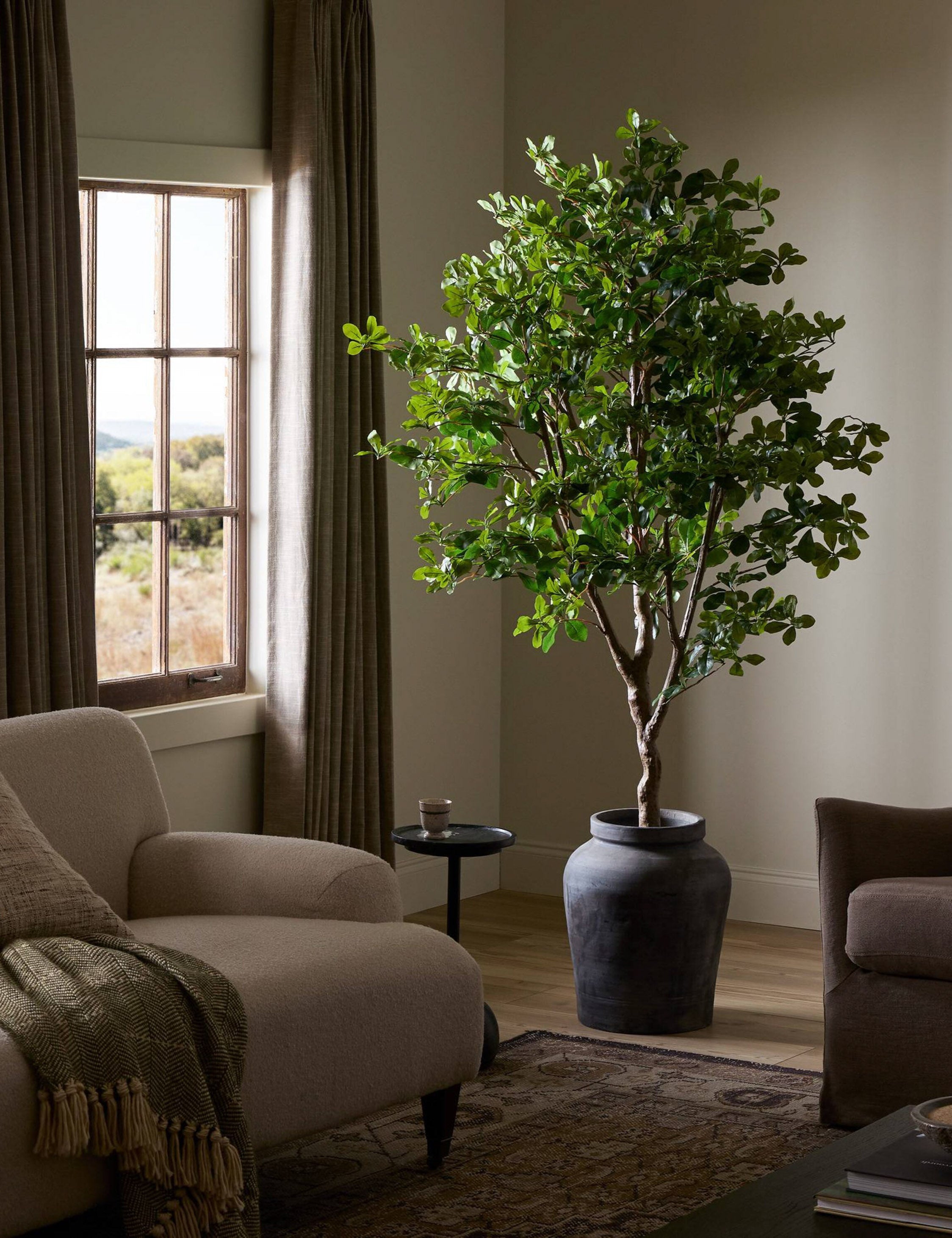 Lulu and Georgia - Faux Aralia Tree