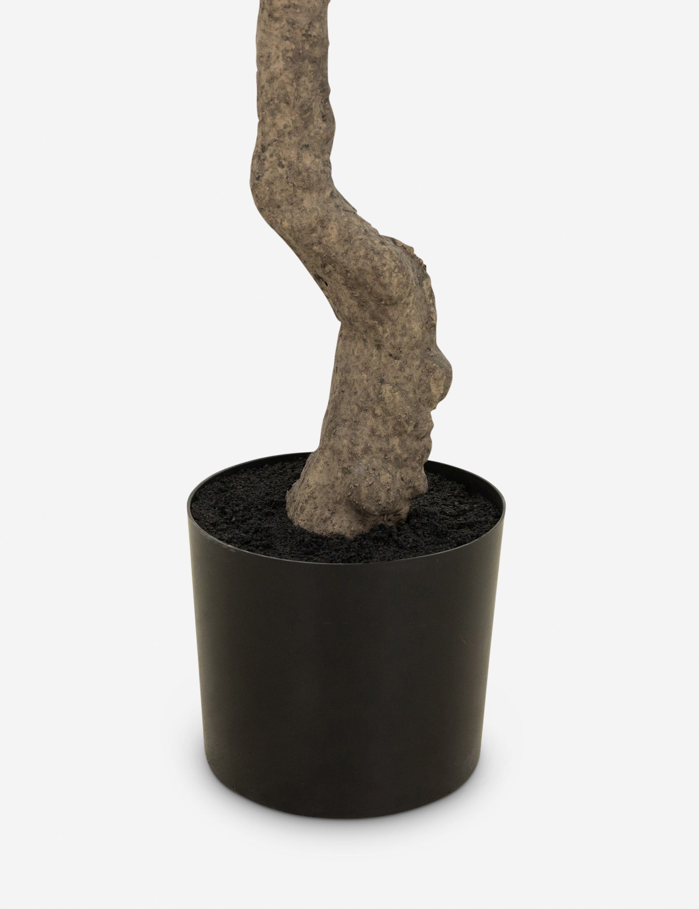 Lulu and Georgia - Faux Olive Tree