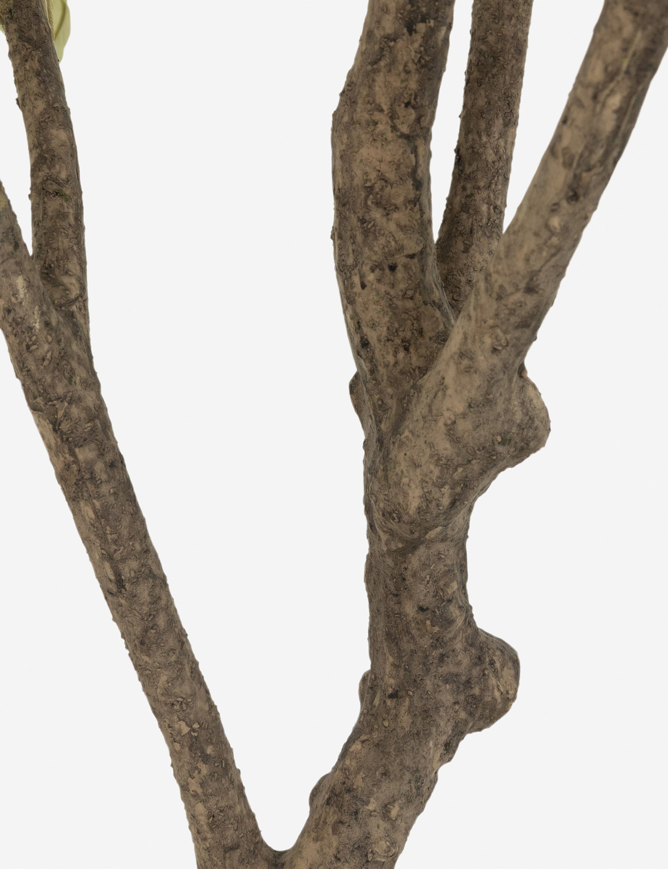 Lulu and Georgia - Faux Olive Tree