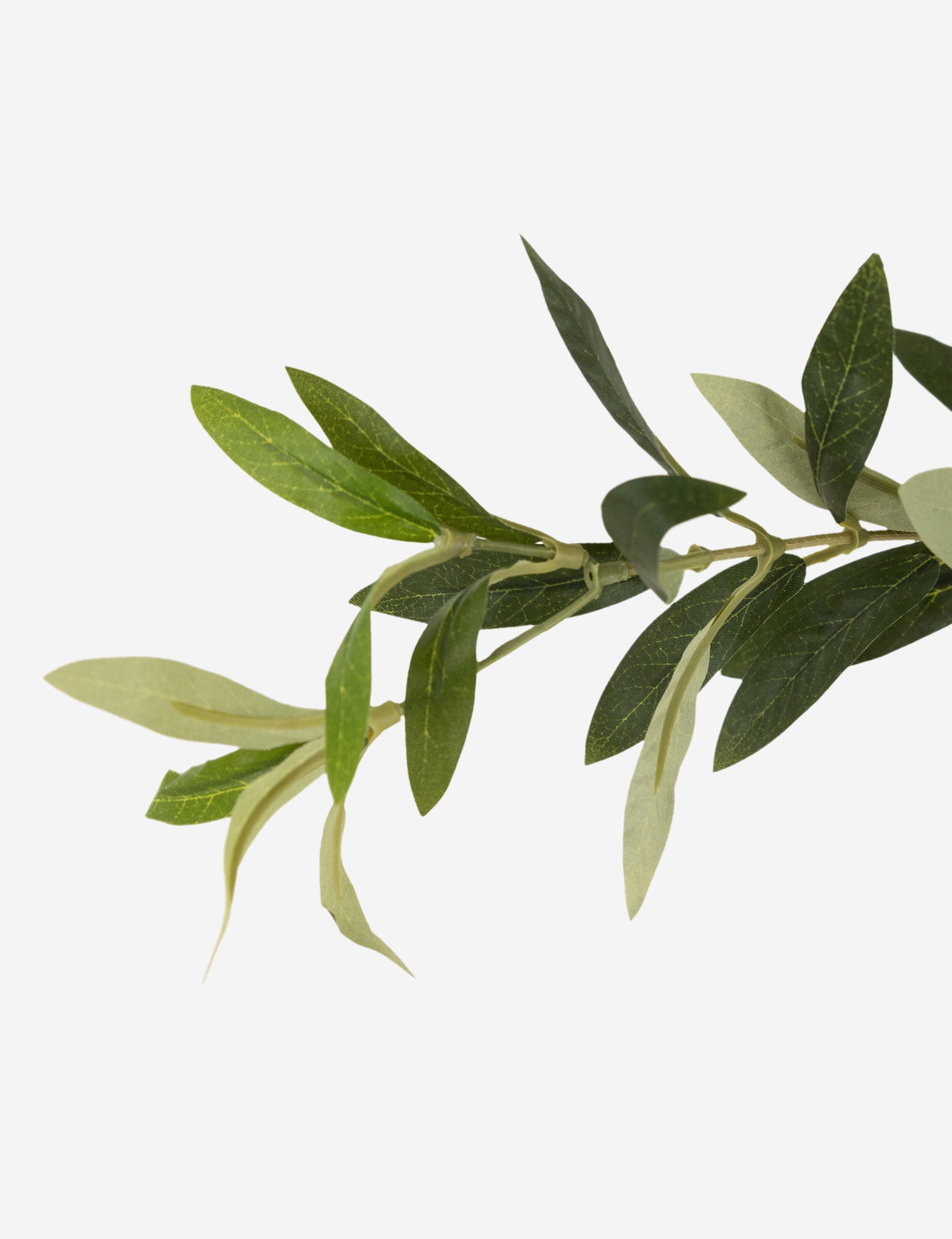 Lulu and Georgia - Faux Olive Tree