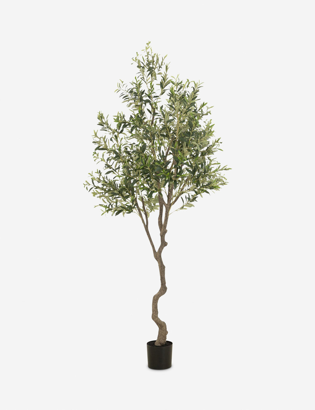 Lulu and Georgia - Faux Olive Tree