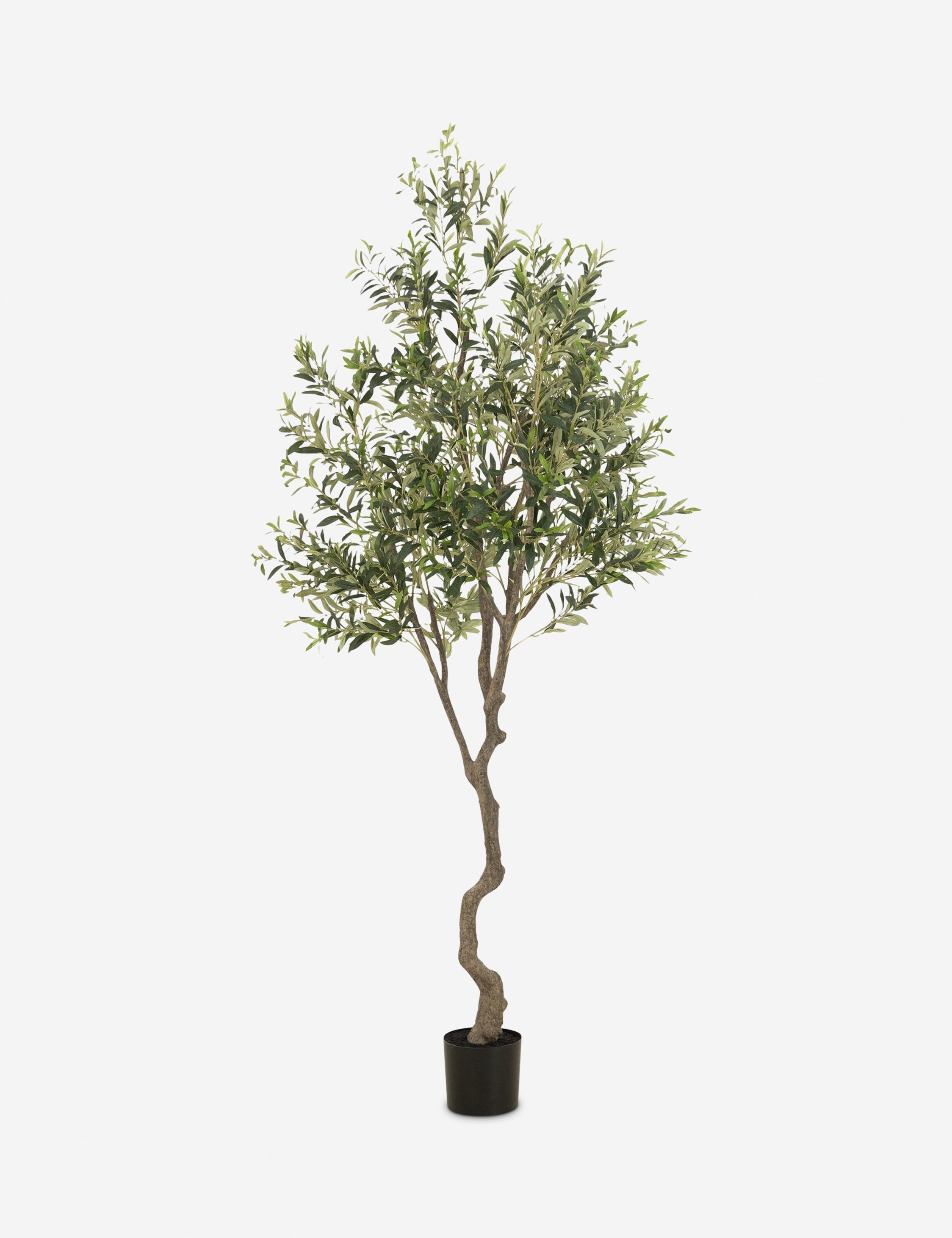 Lulu and Georgia - Faux Olive Tree