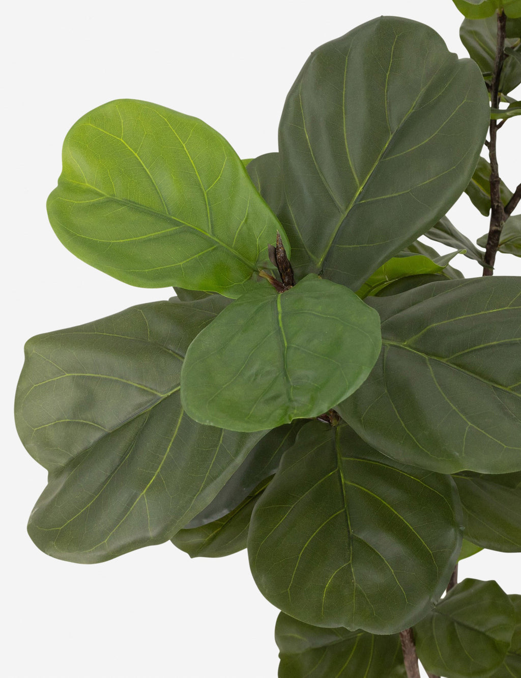 Lulu and Georgia - Faux Fiddle Leaf Tree