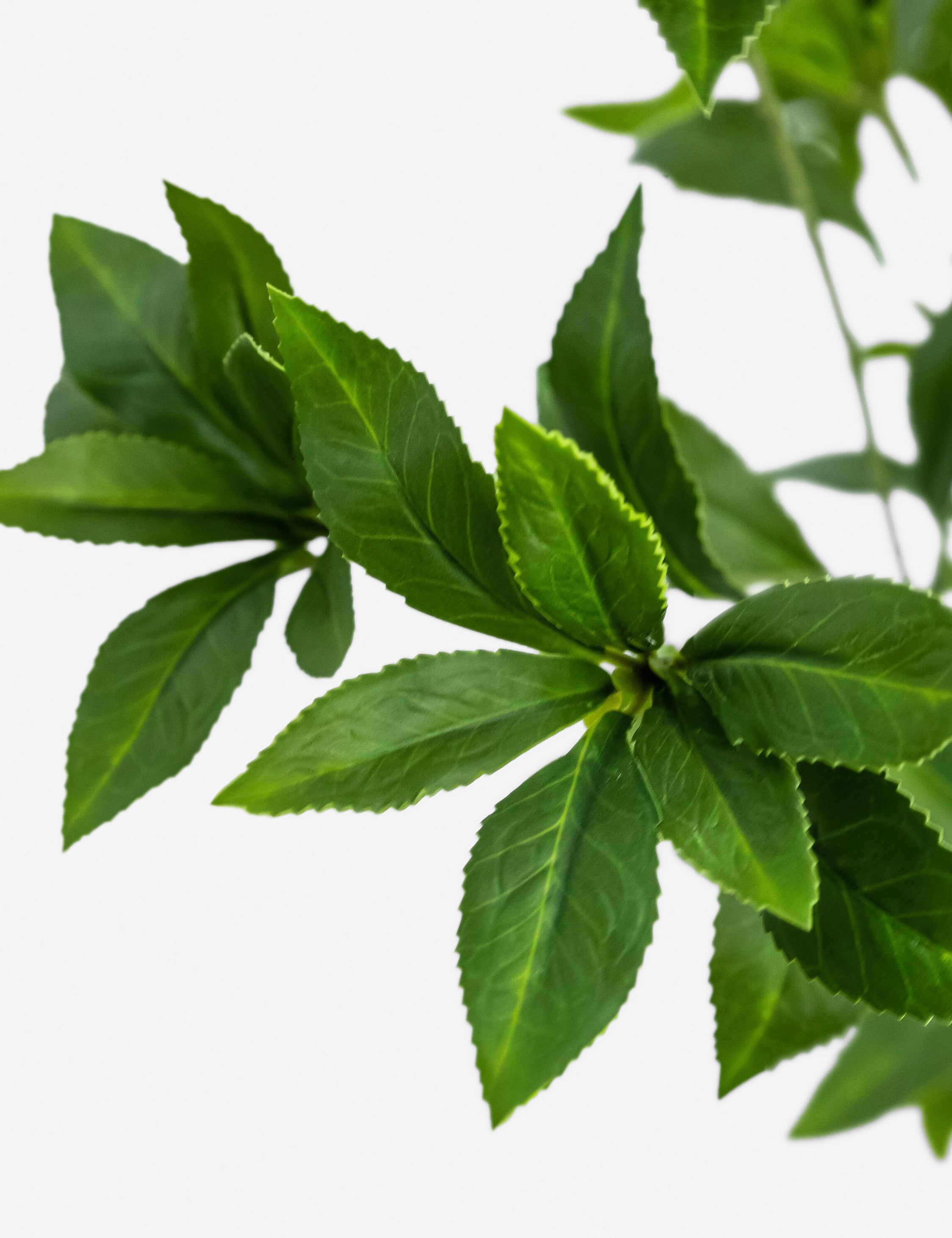 Lulu and Georgia - Faux Pieris Tree