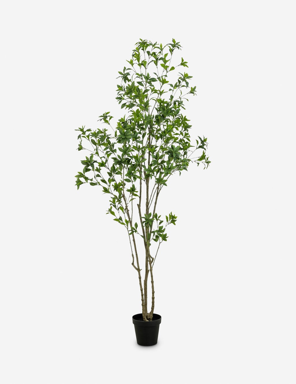 Lulu and Georgia - Faux Pieris Tree
