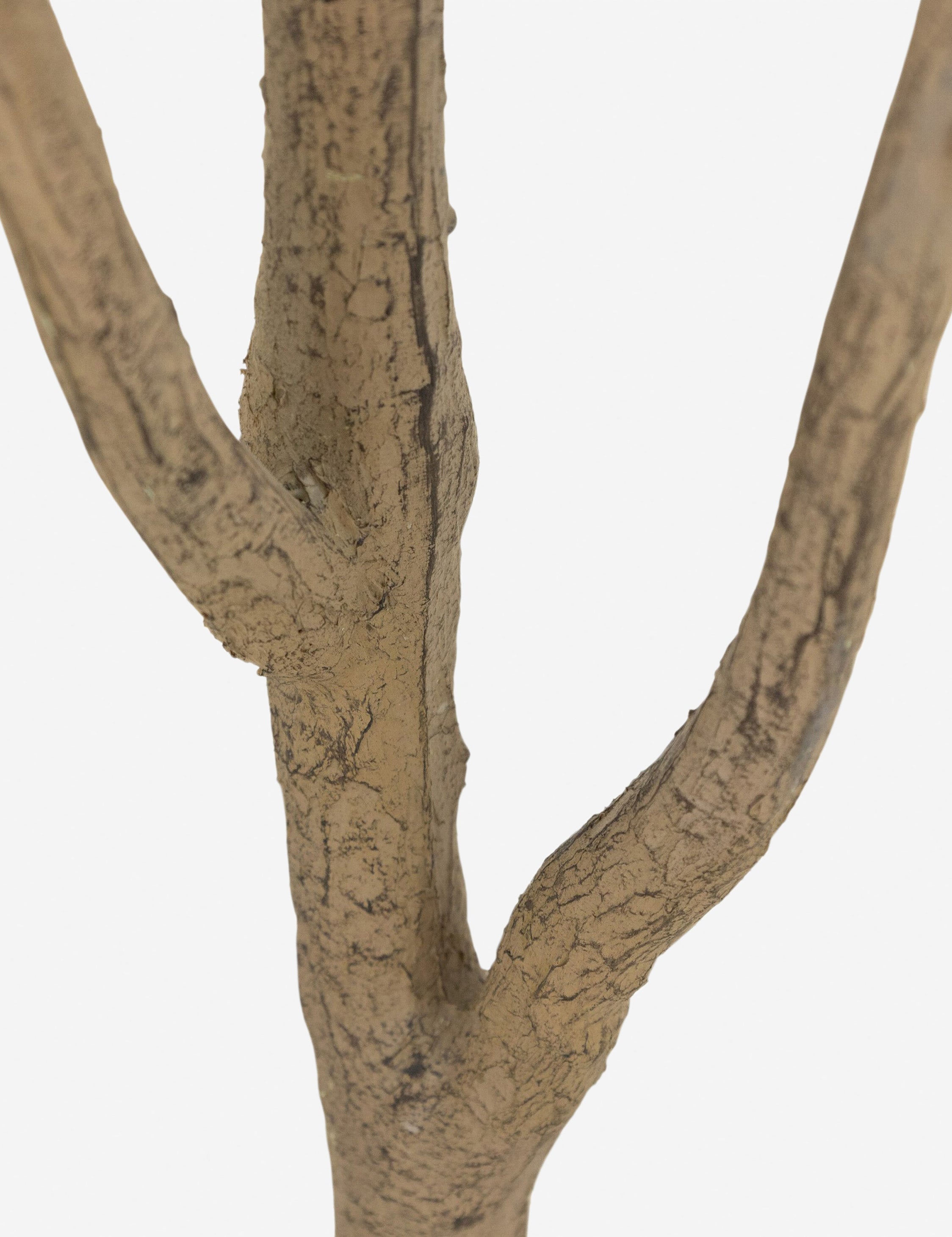 Lulu and Georgia - Faux Eucalyptus Tree