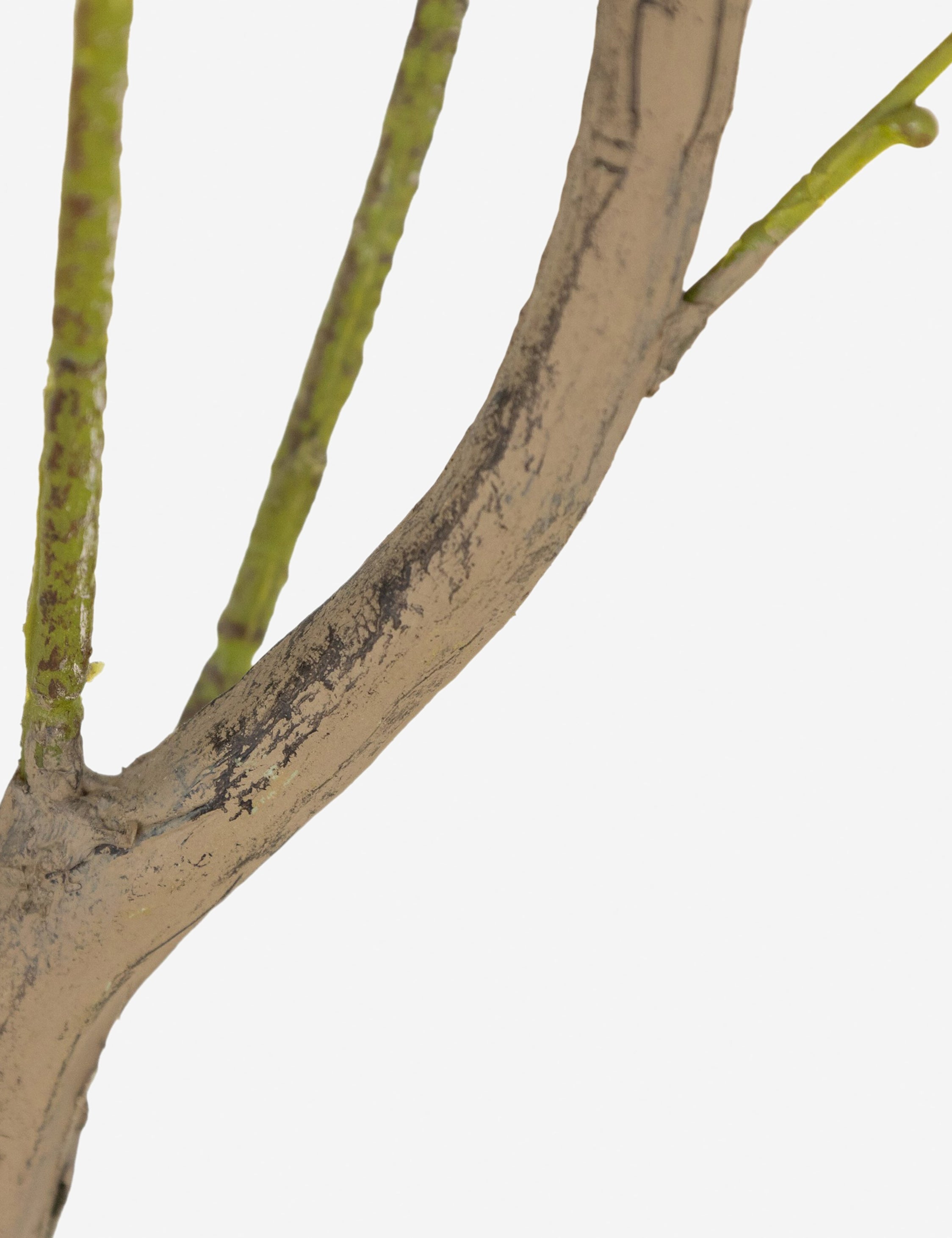 Lulu and Georgia - Faux Eucalyptus Tree